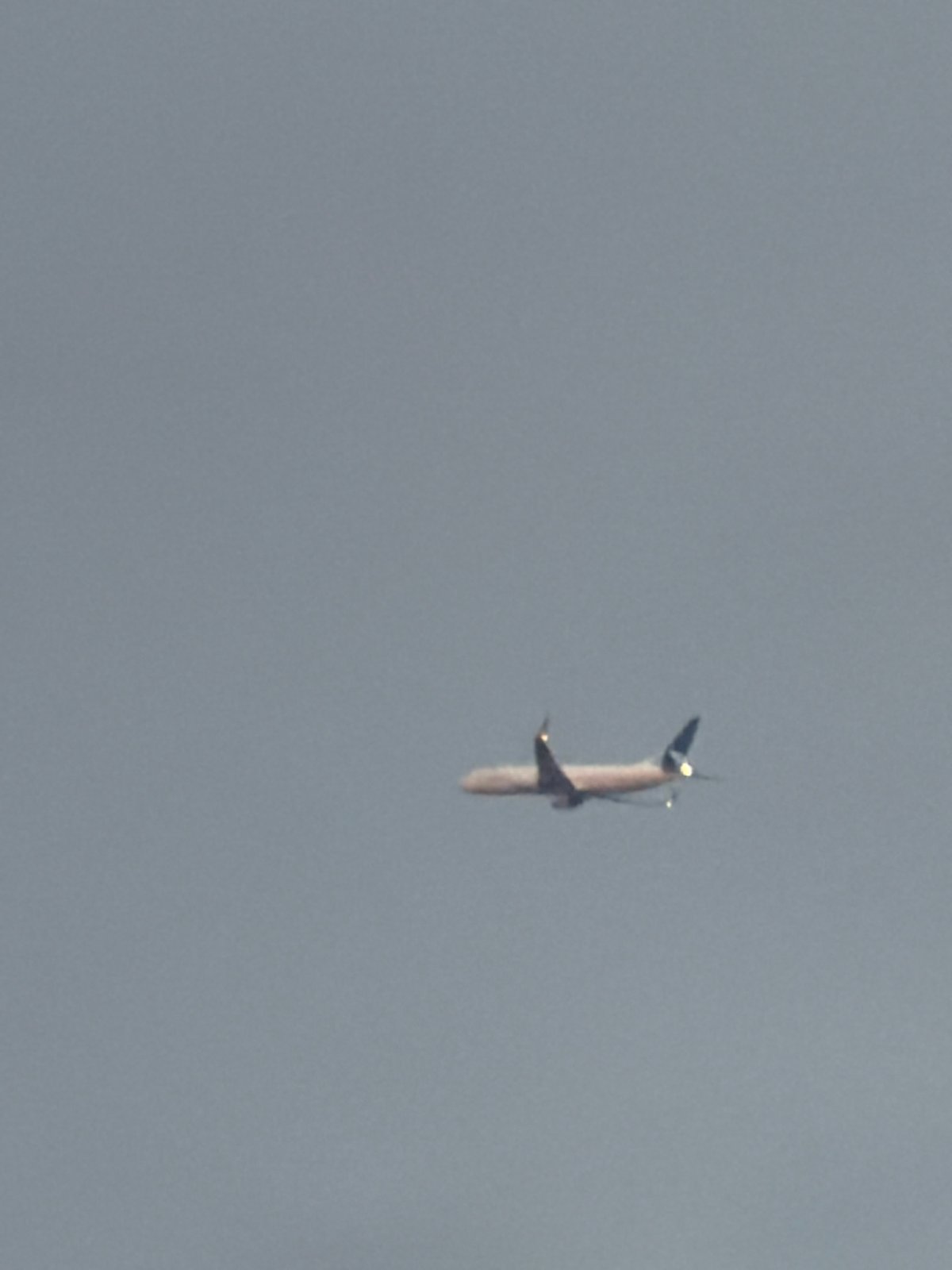 Evening dog walk in Sofia with planes passing overhead