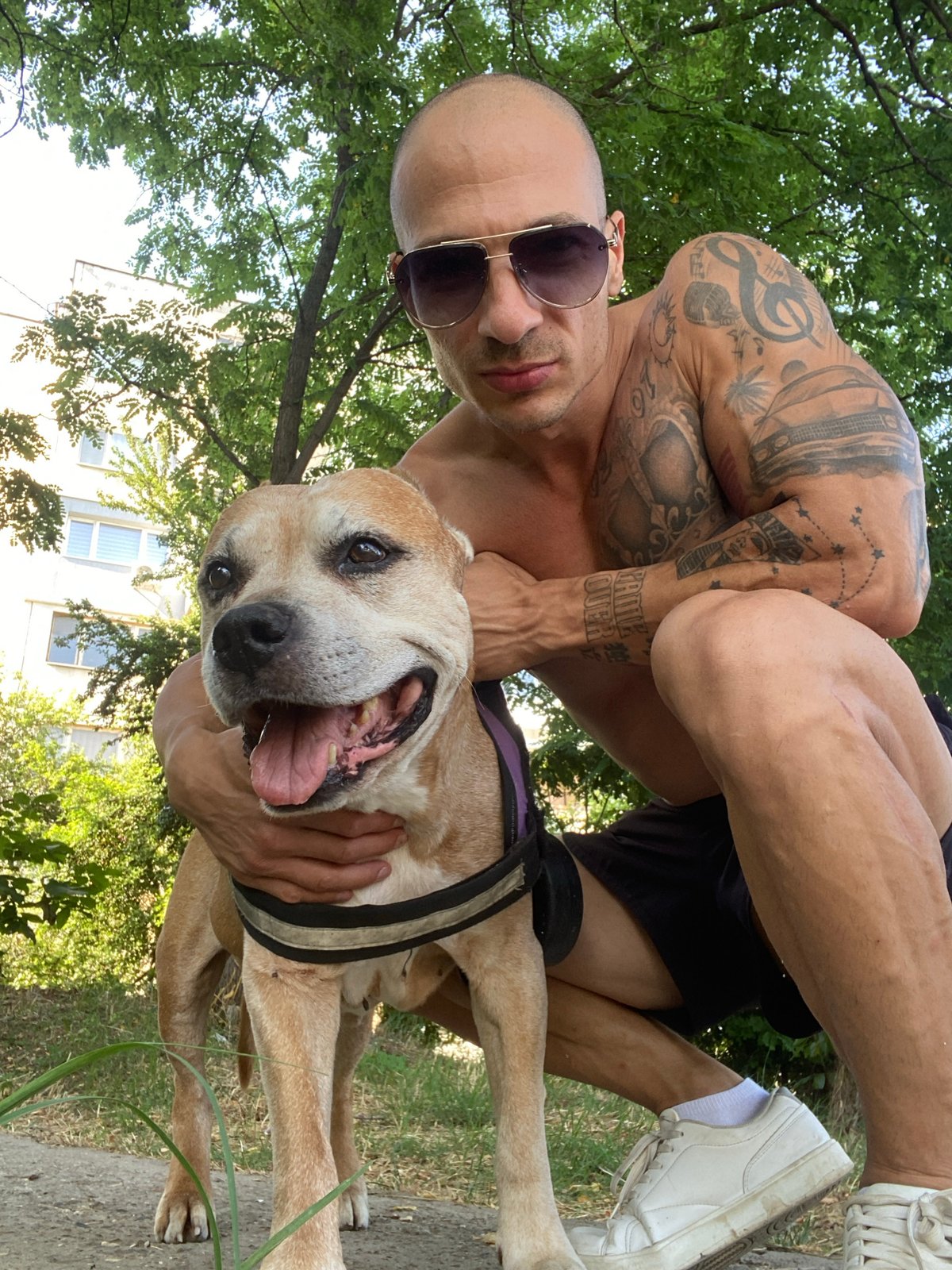 Afternoon outing with a dog in Pleven, Bulgaria