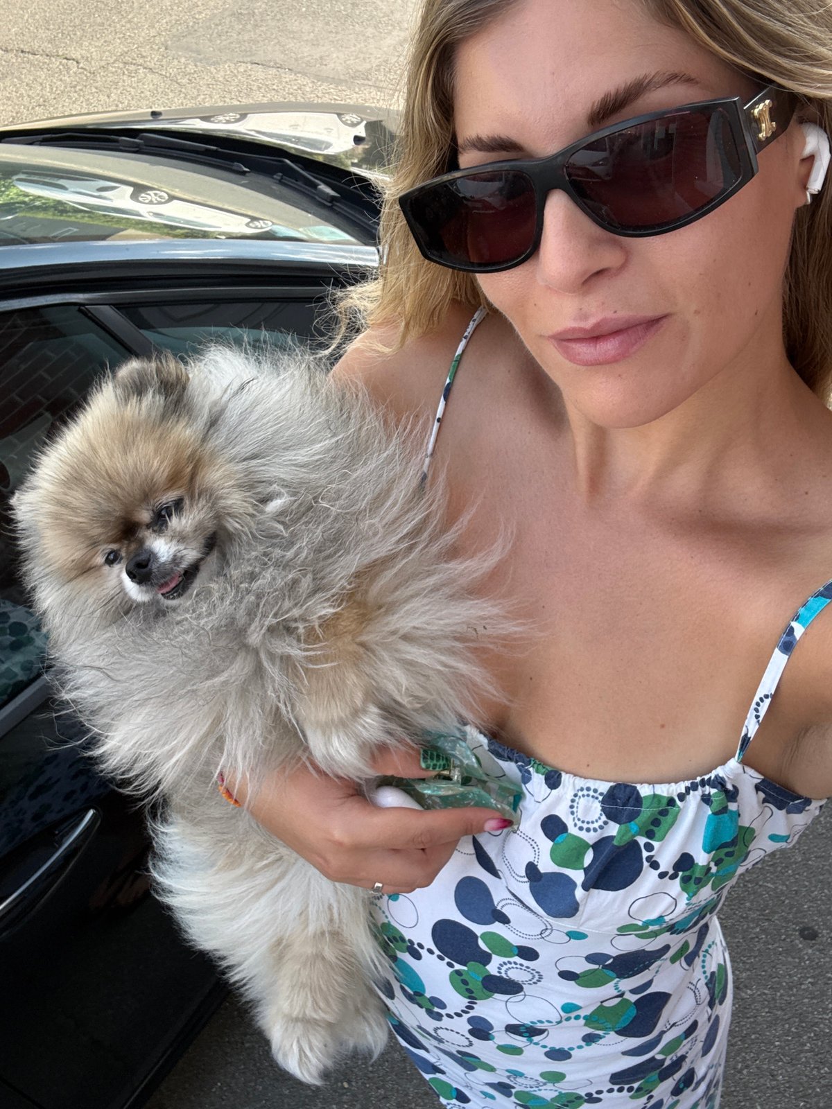 Afternoon out in Wattrelos with a Pomeranian in tow