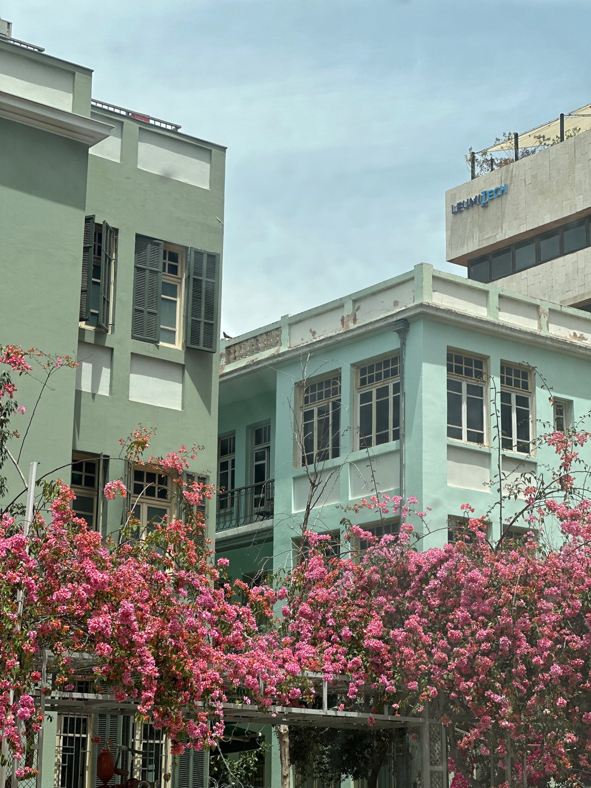 Mixed architecture and vegetation observed in Tel-Aviv street scene