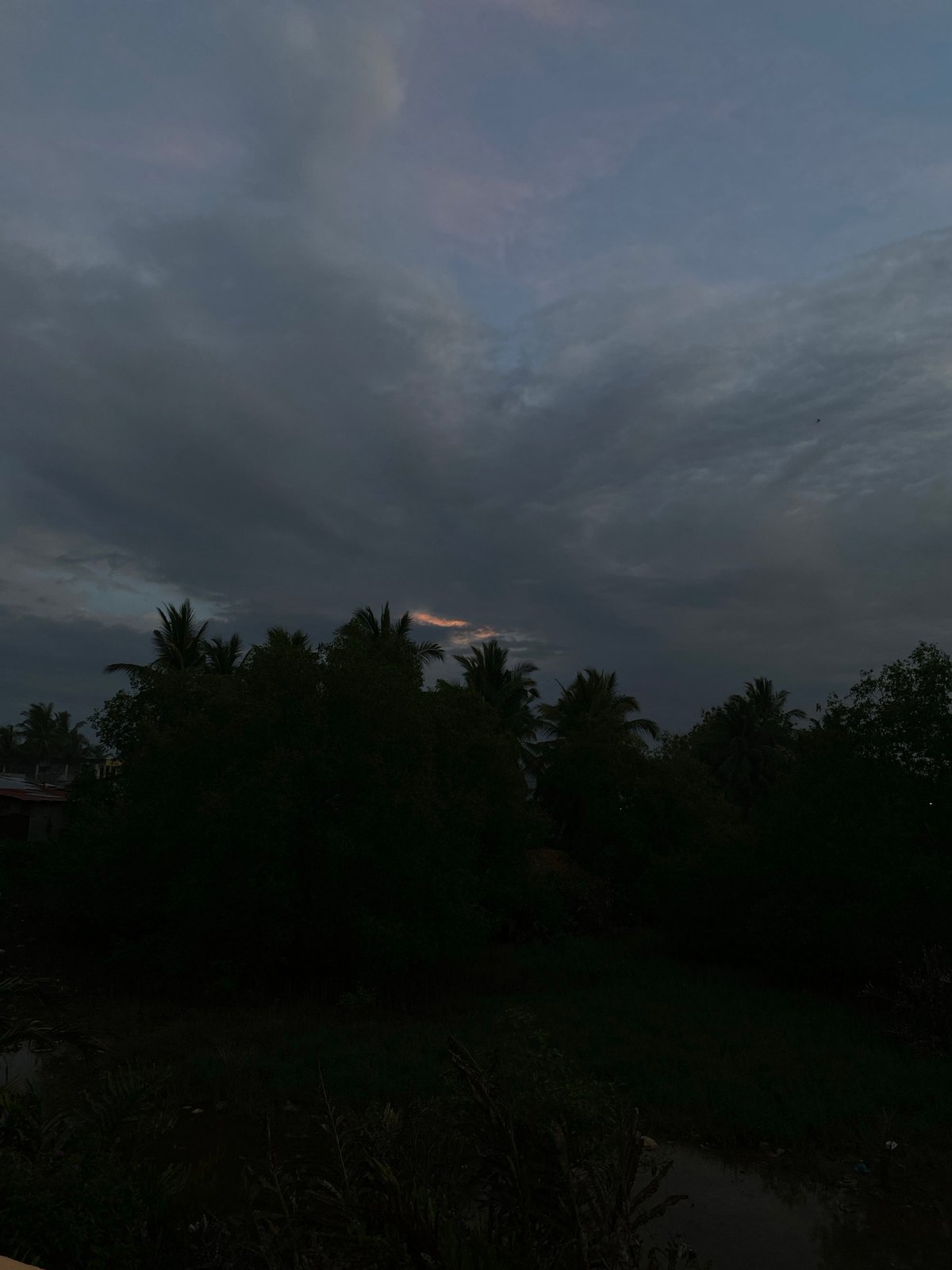 Sunset documented through palm trees in Tanjongkapai, Indonesia