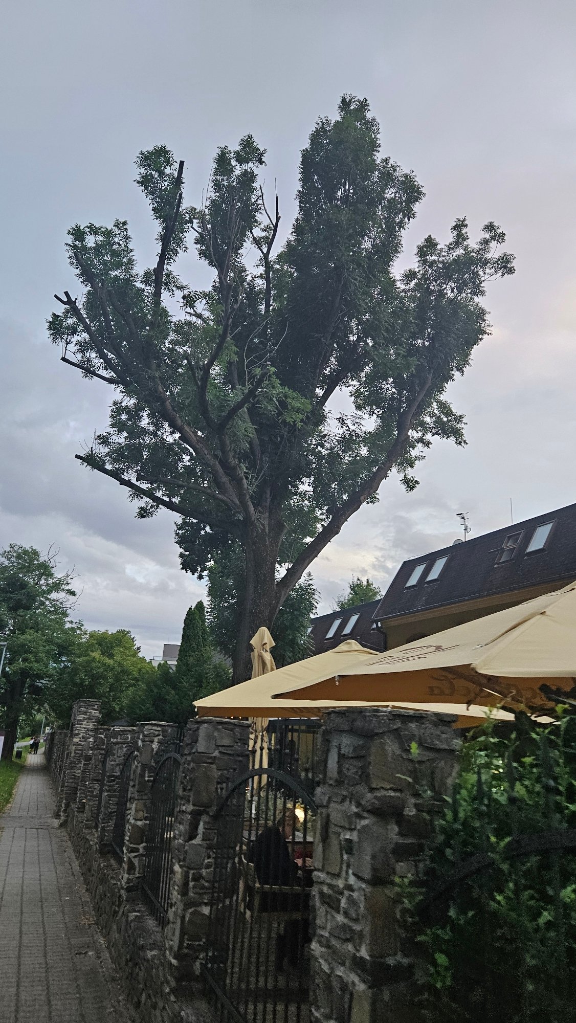 Prešov streets and parks on a cloudy summer evening