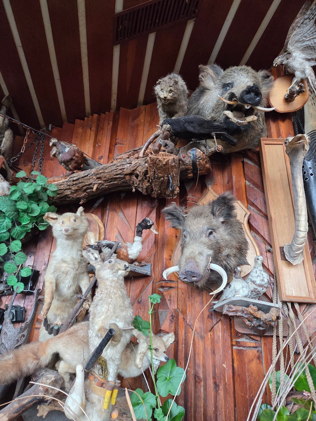 Photographer documents eclectic outdoor scenes across Aksakovo, Bulgaria