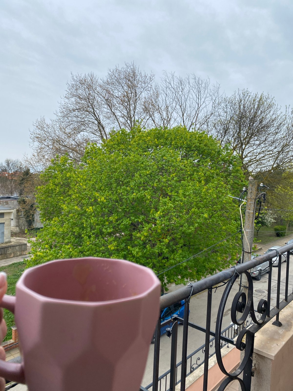 Morning coffee moment captured on ornate balcony in Kavarna
