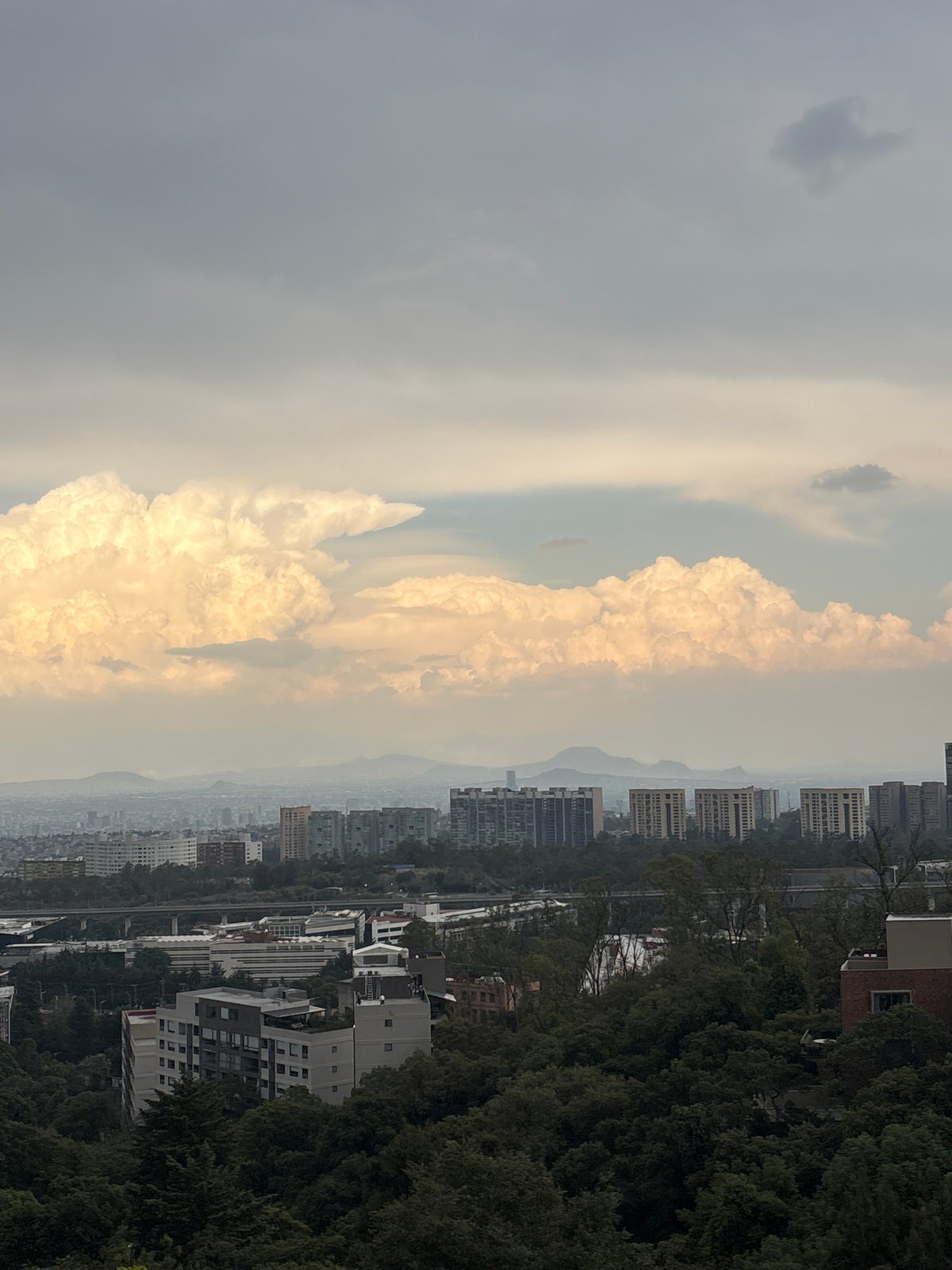 Mexico City resident captures urban skyline and indoor flowers