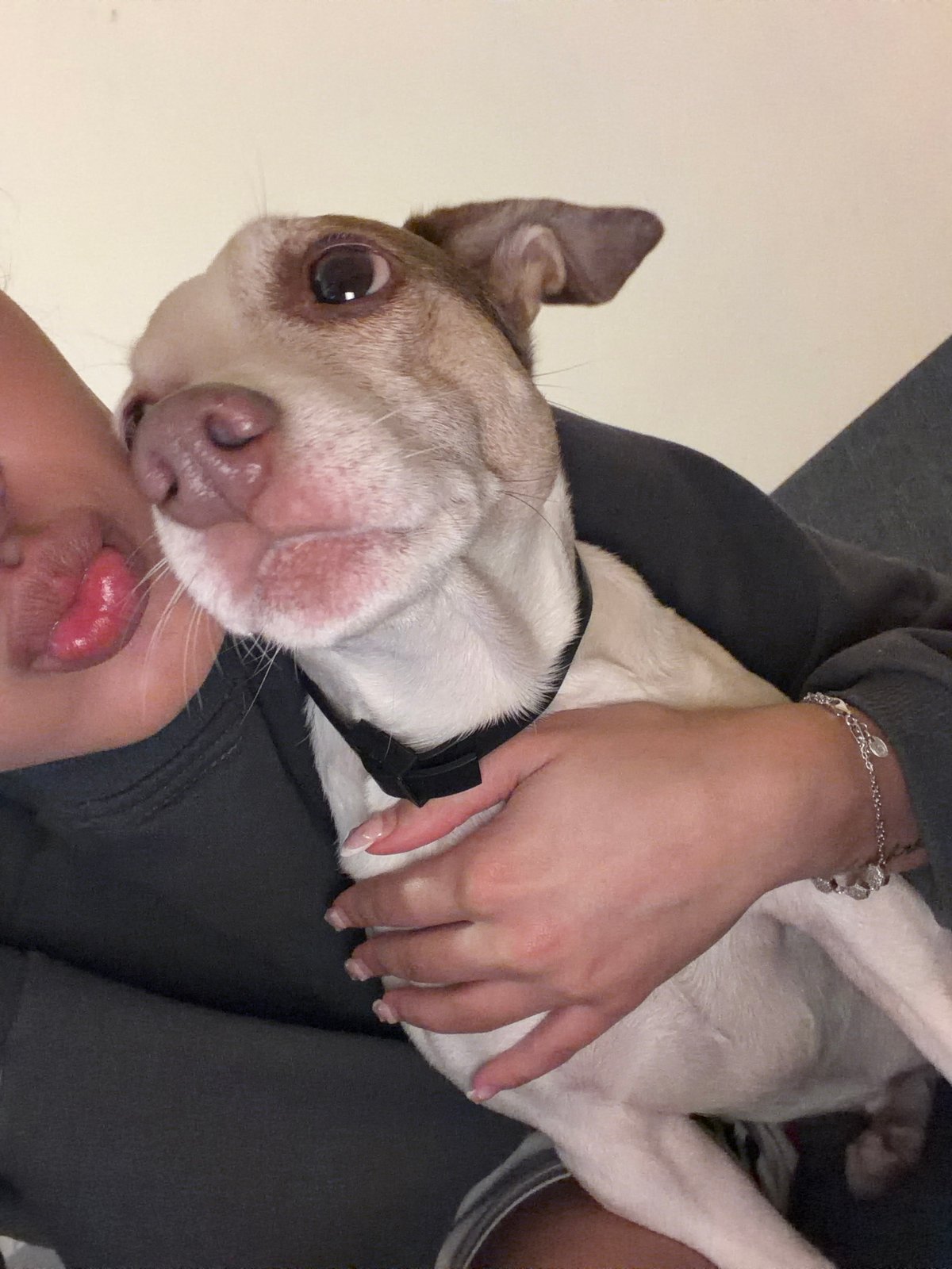 Sofia resident enjoys evening meal with dog, television on