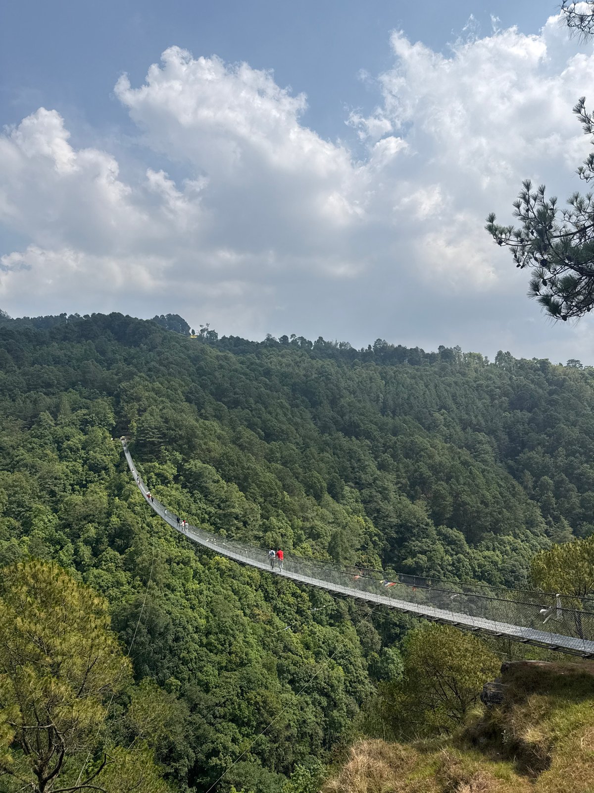 Morning foot traffic recorded on Nepal suspension bridge