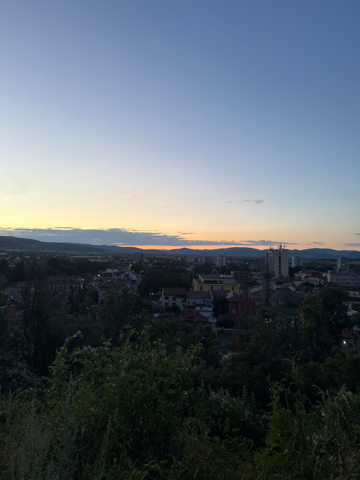 Dusk in Kyustendil, Bulgaria, with a dog on the road