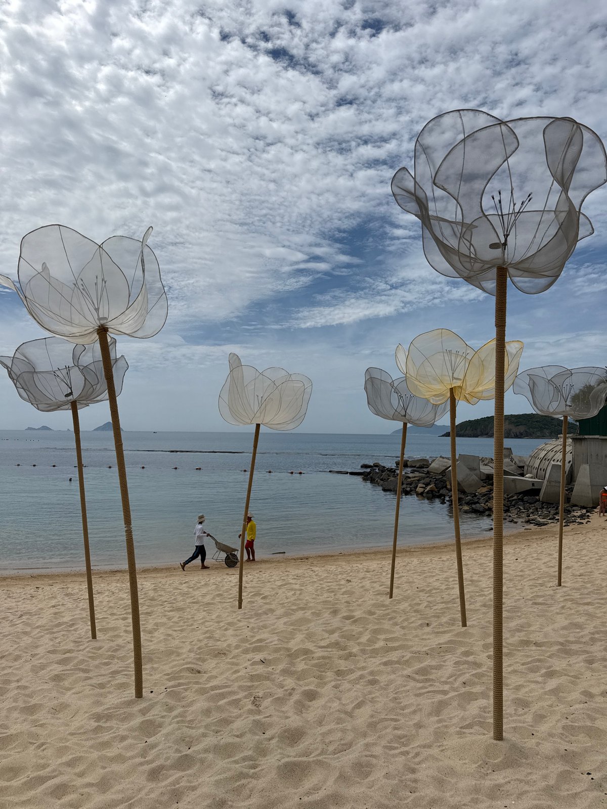 Translucent floral sculptures installed along Nha Trang beach