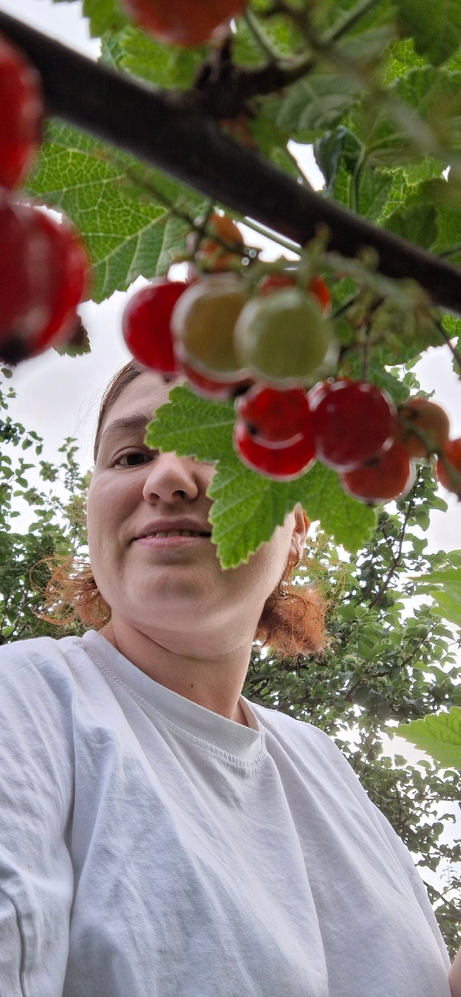 Lazy summer afternoon in a Chaikovsky backyard