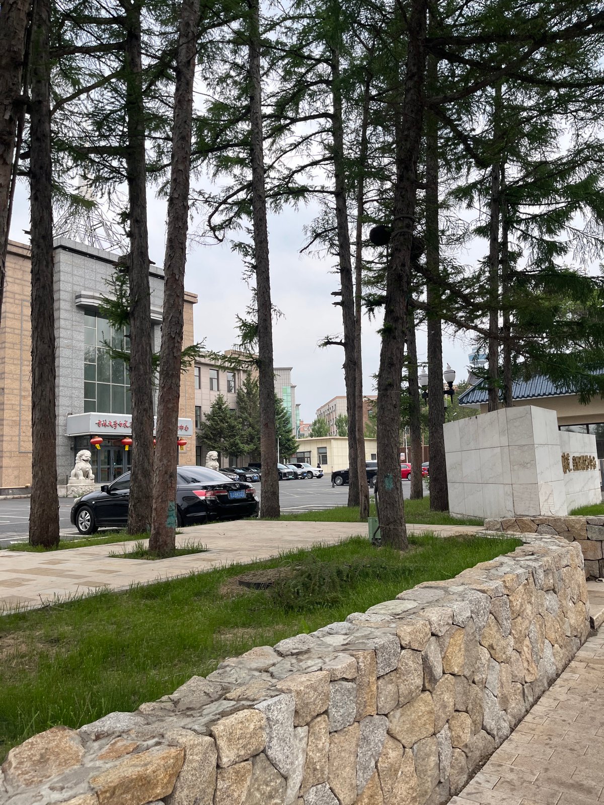 Routine lab work and street life documented across Changchun