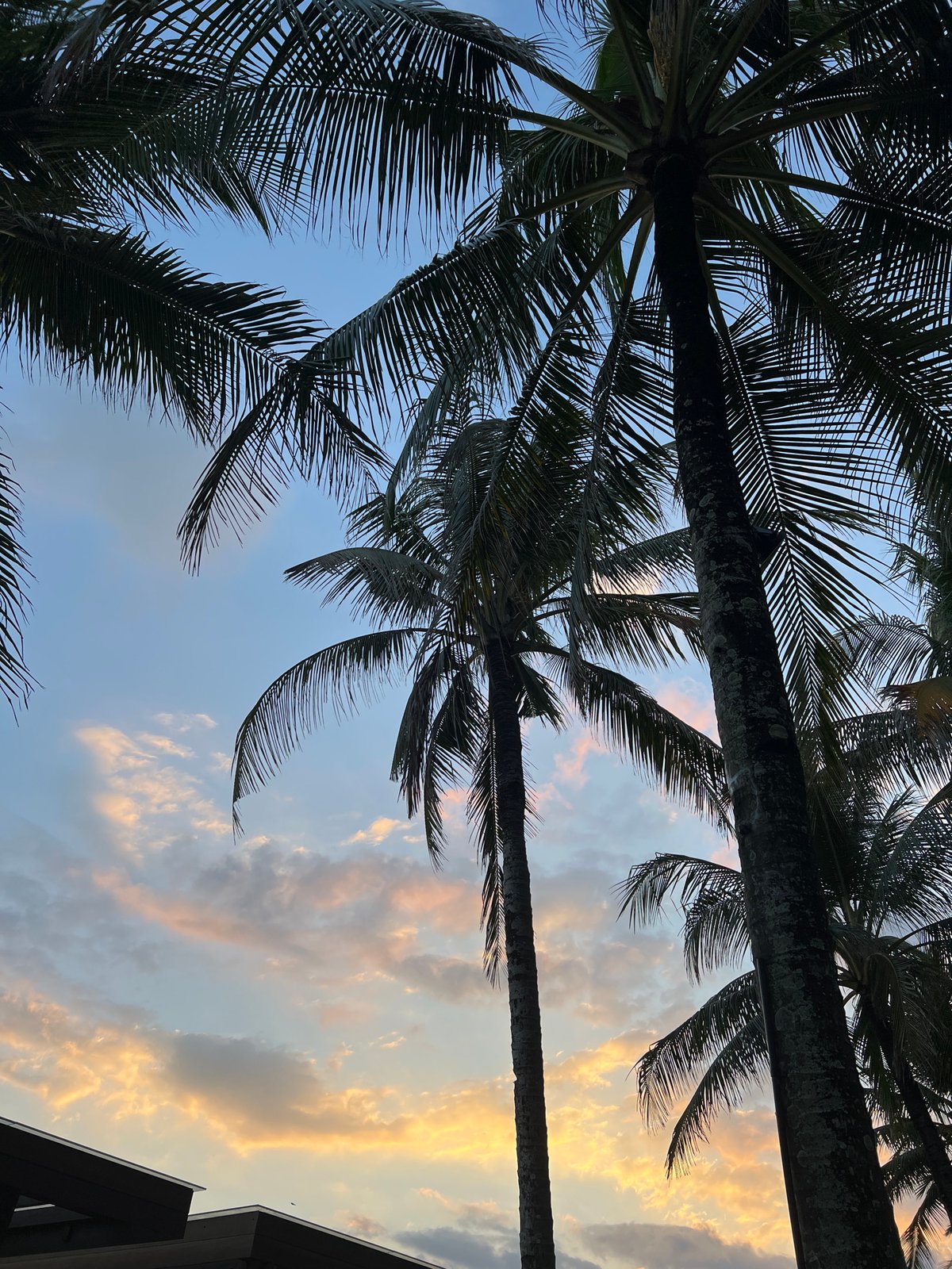 Morning resort relaxation documented at W Bali, North Kuta