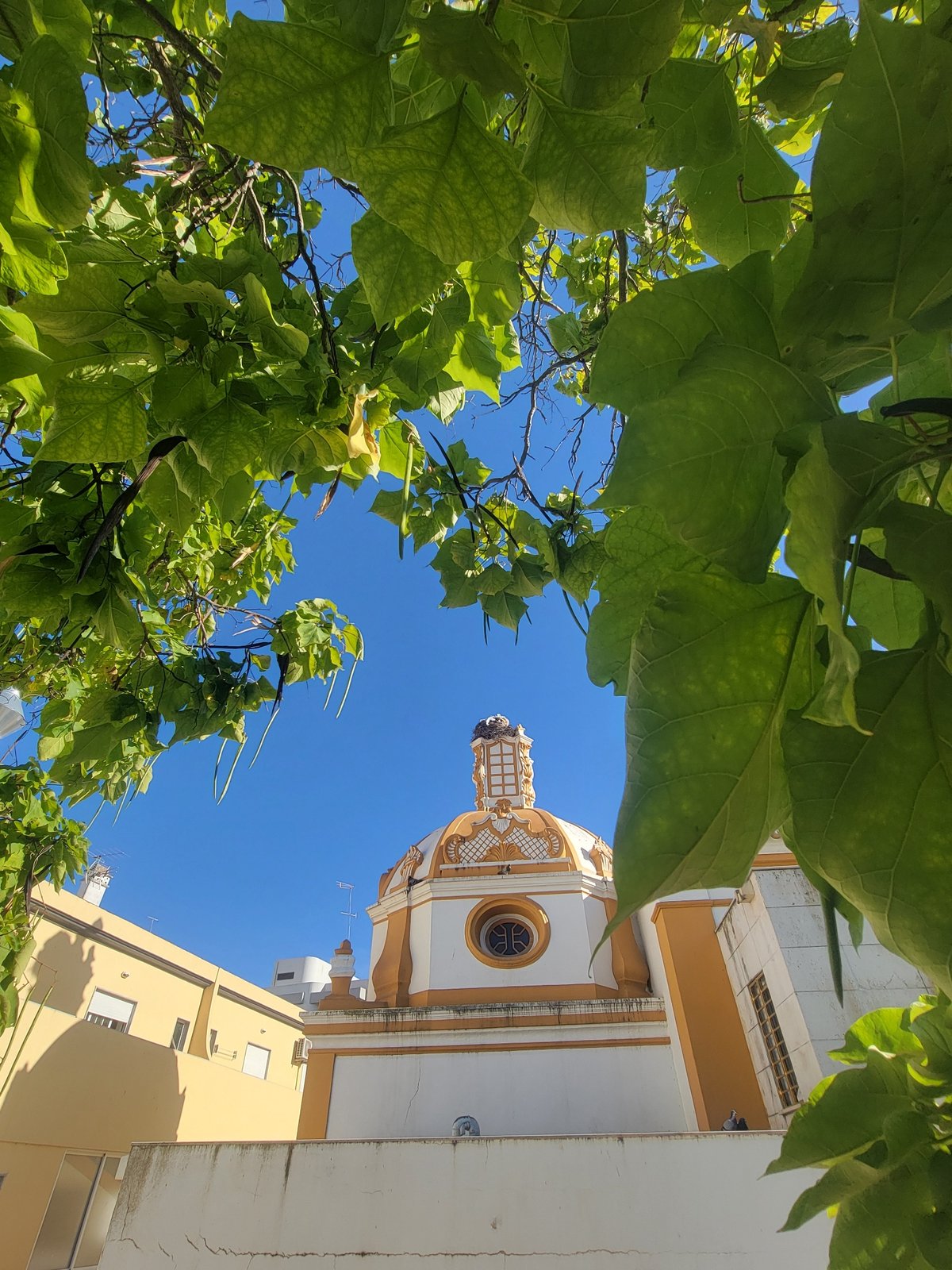 Sunny afternoon on the streets of Faro, Portugal