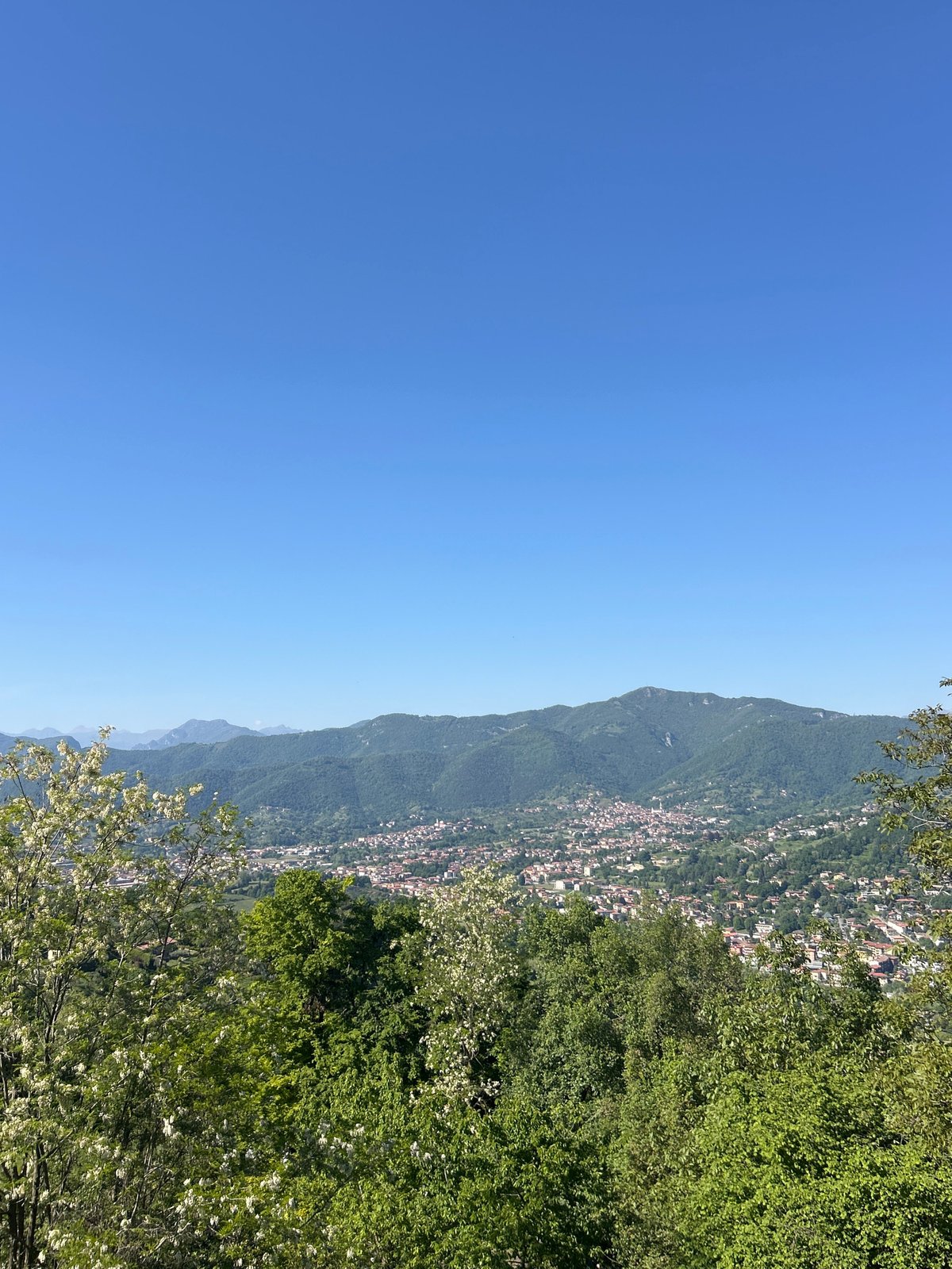 Panoramic views of Bergamo captured from elevated position