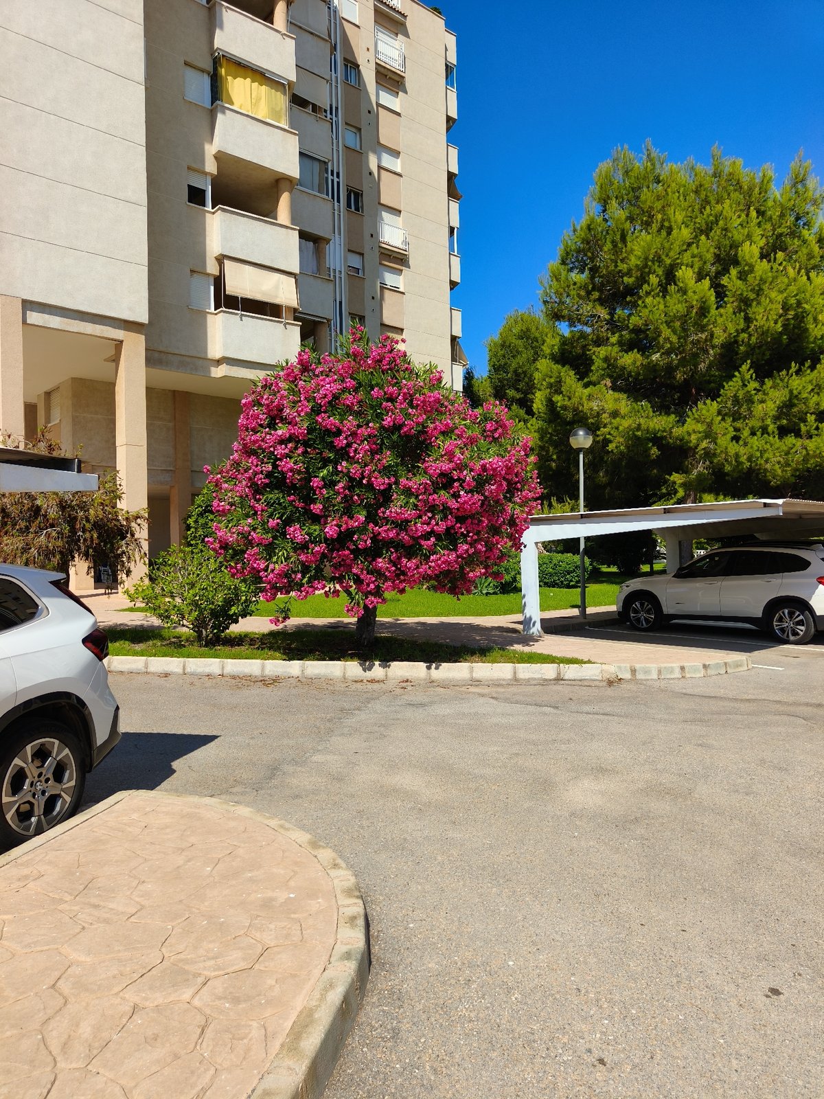 Afternoon roam through Orihuela and Campoamor, Costa Blanca