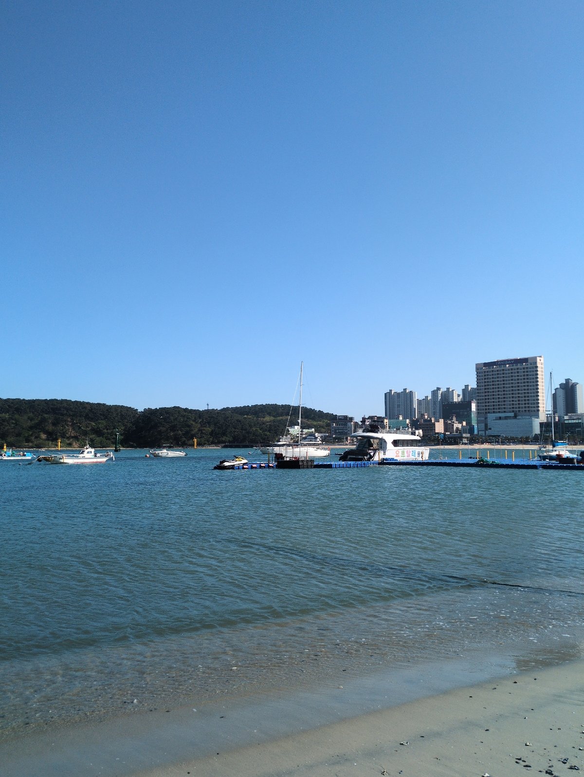Morning harbor scenes documented at Jangsaengpo Port, Ulsan