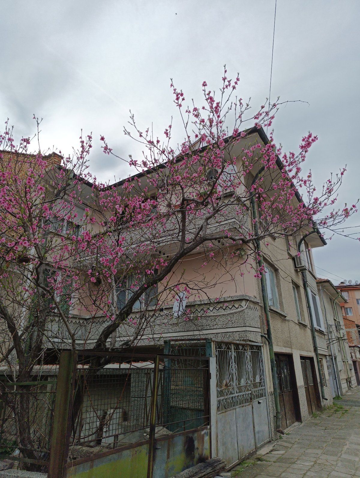 Witness documents quiet street scenes in Karnobat, Bulgaria