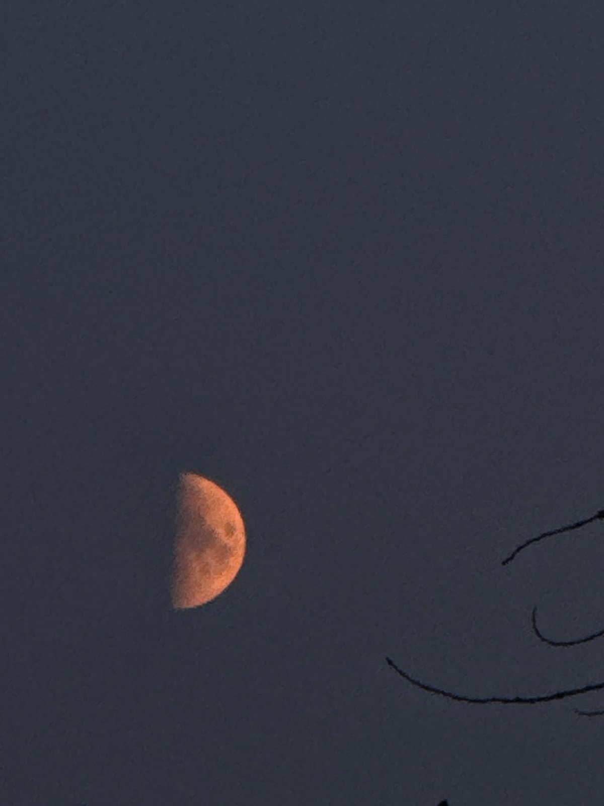 Orange moon rising over Chaikovsky, with garden and evening snapshots