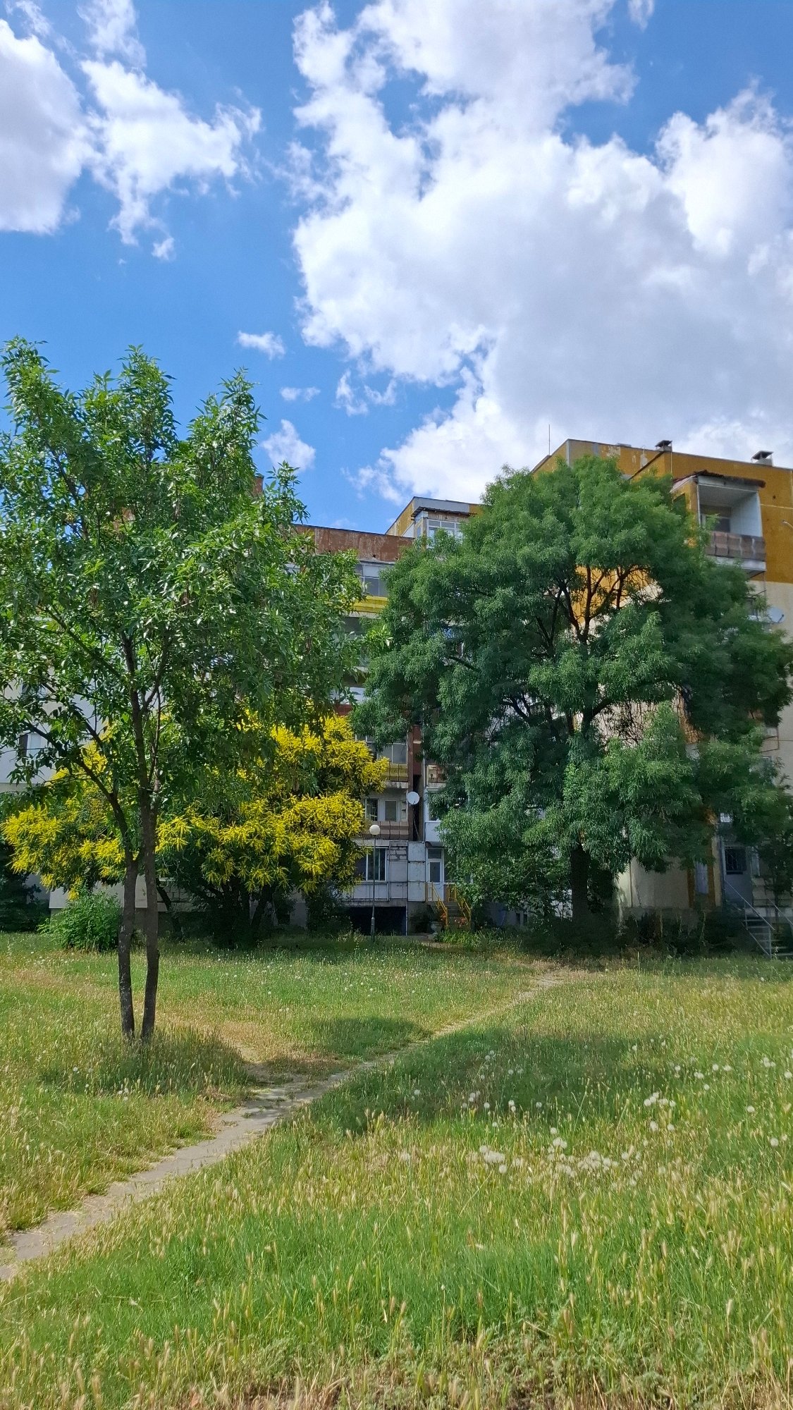 Quiet residential complex in Plovdiv on a summer afternoon