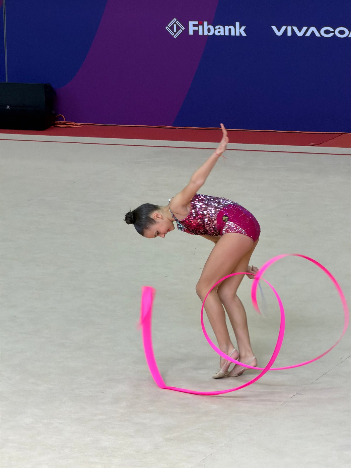 Rhythmic gymnastics competition held in Sofia arena