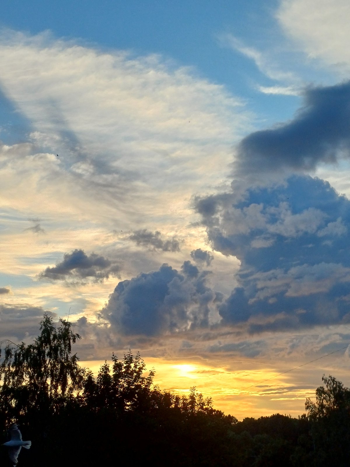 Dramatic summer sunset skies over Riga, with one floral close-up
