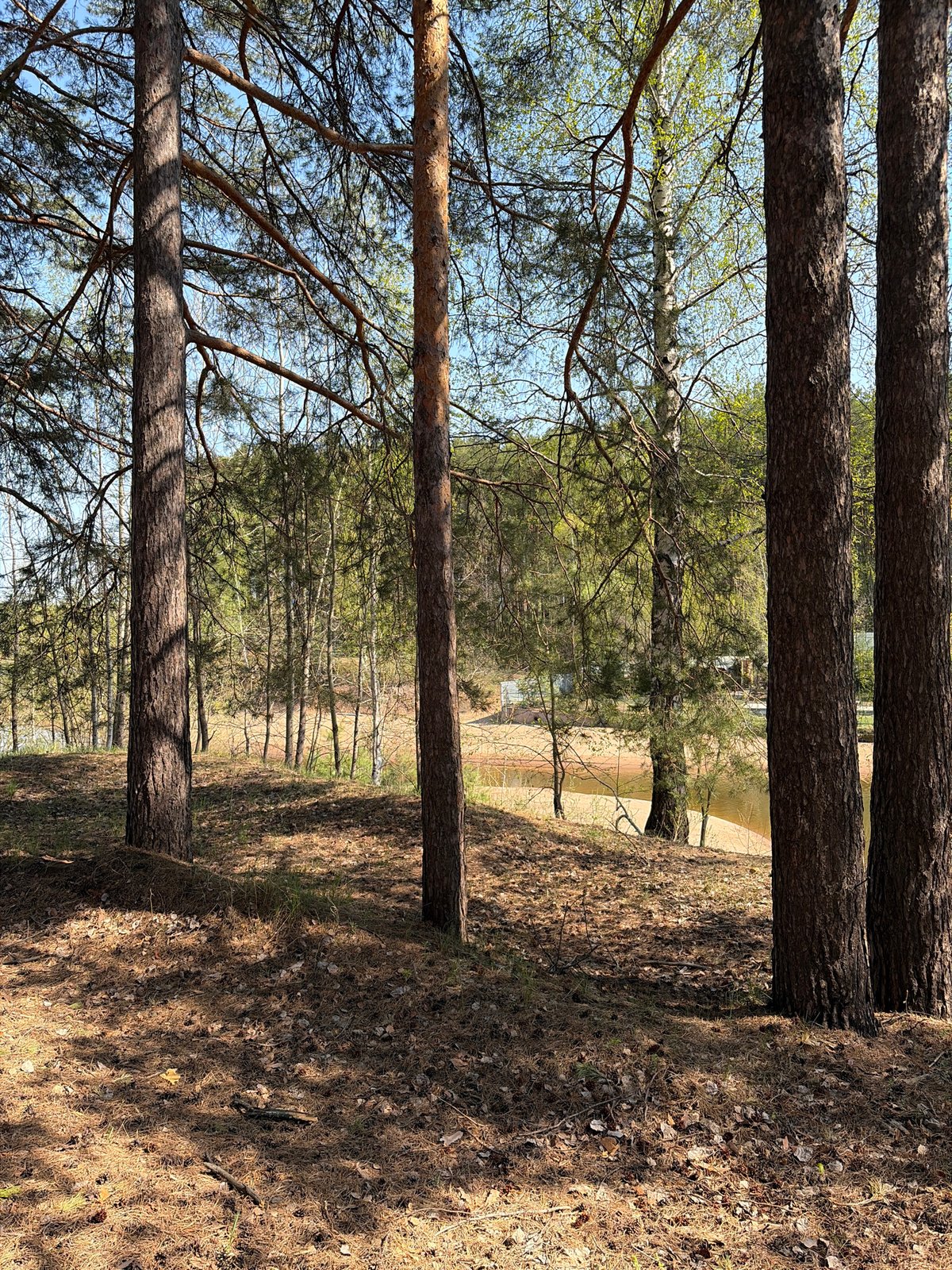 Family enjoys outdoor time in Chaikovsky forest and playground