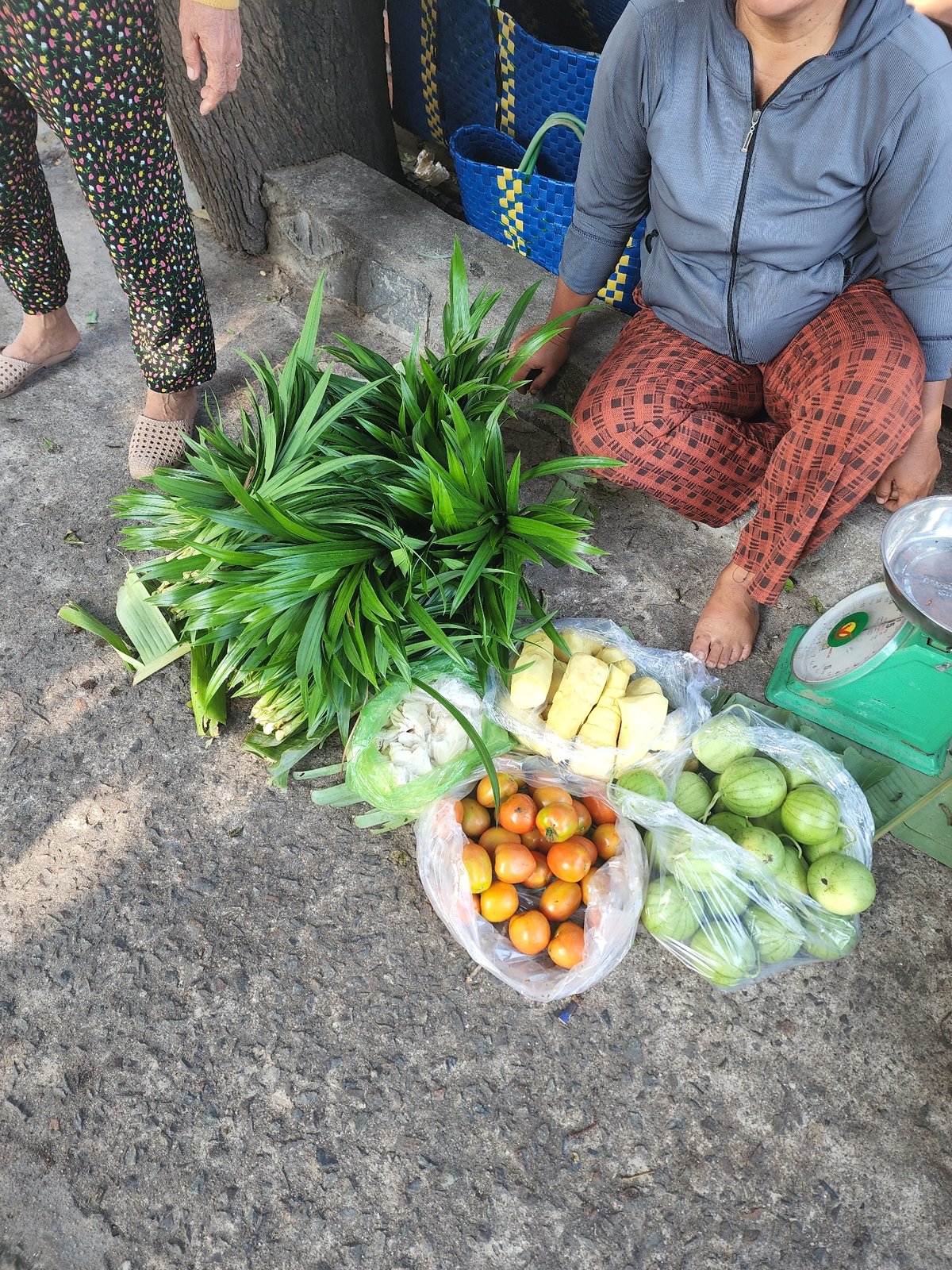 Daily life moments captured across Phu Thuy Ward, Vietnam