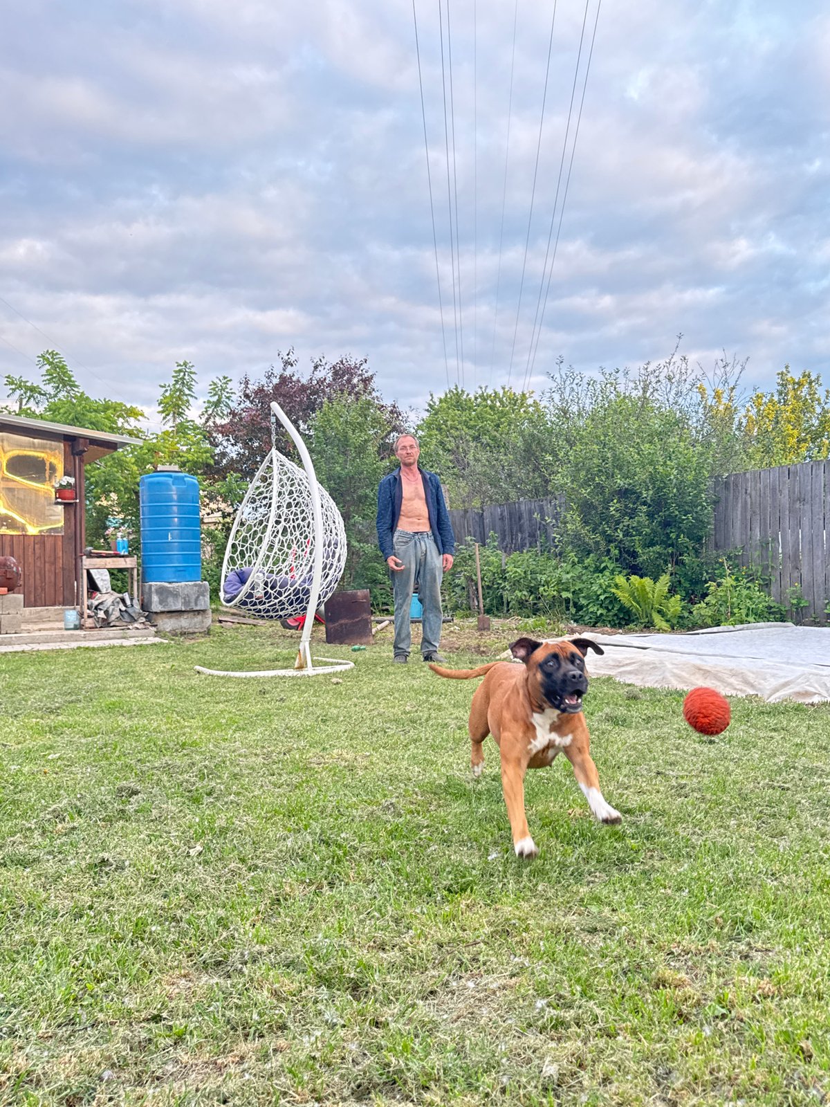 Couple's Evening: Backyard Life with Dog and Fire in Russia