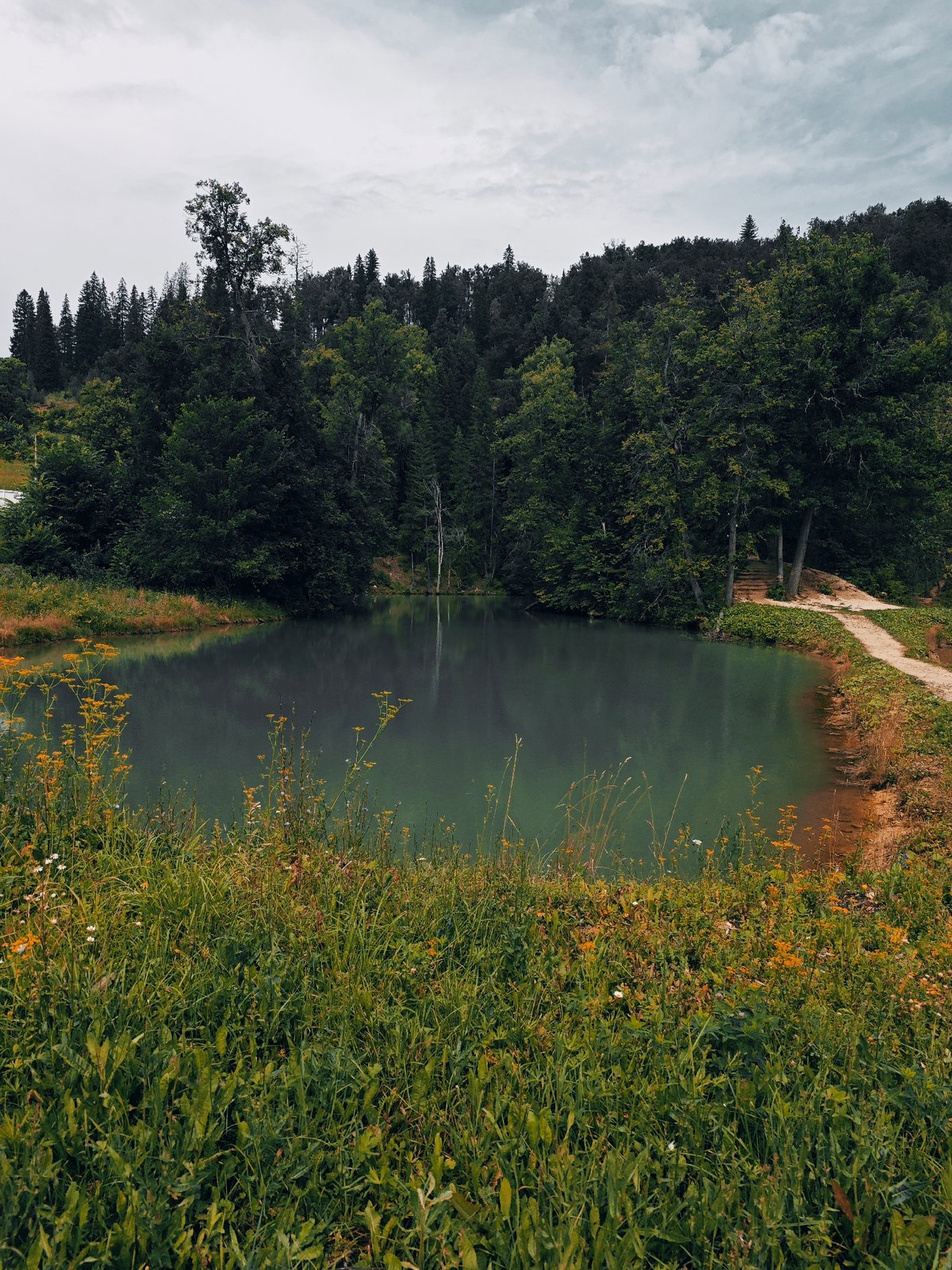 Krasnyy Klyuch reservoir and forest landscape, summer morning
