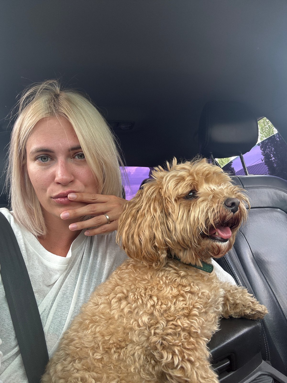 Goldendoodle rides shotgun through Engels, Russia