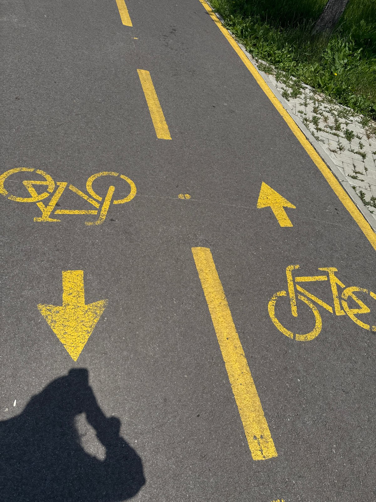 Morning bike path scenes captured in urban park