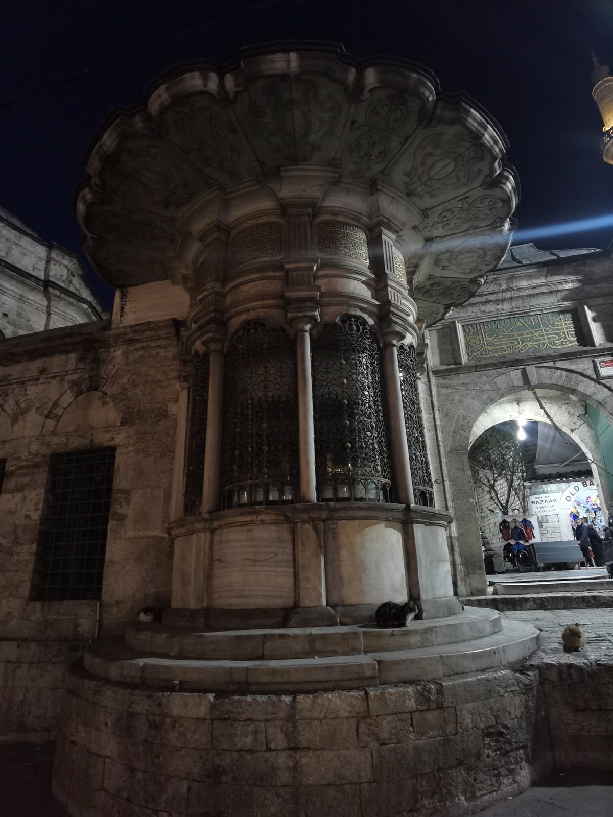 Tourist documents Istanbul landmarks and dining during evening walkabout