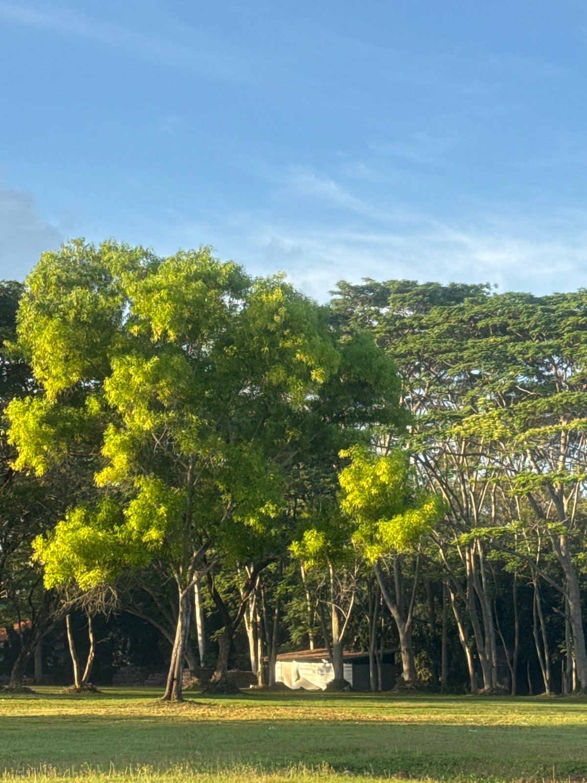 Evening life captured across Kuta Selatan beaches and fields