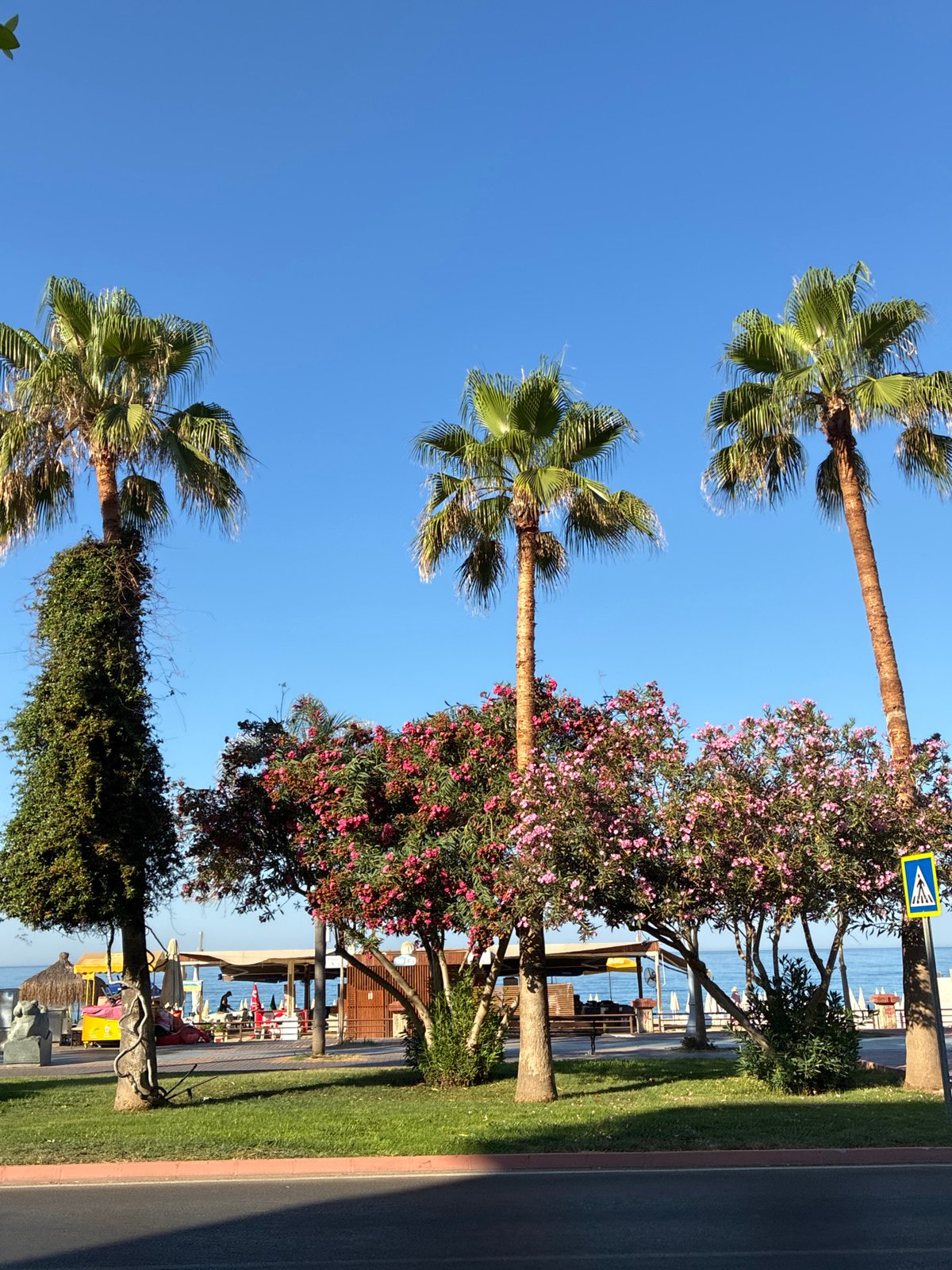 Alanya's sunny beachfront promenade, palms, and quiet streets