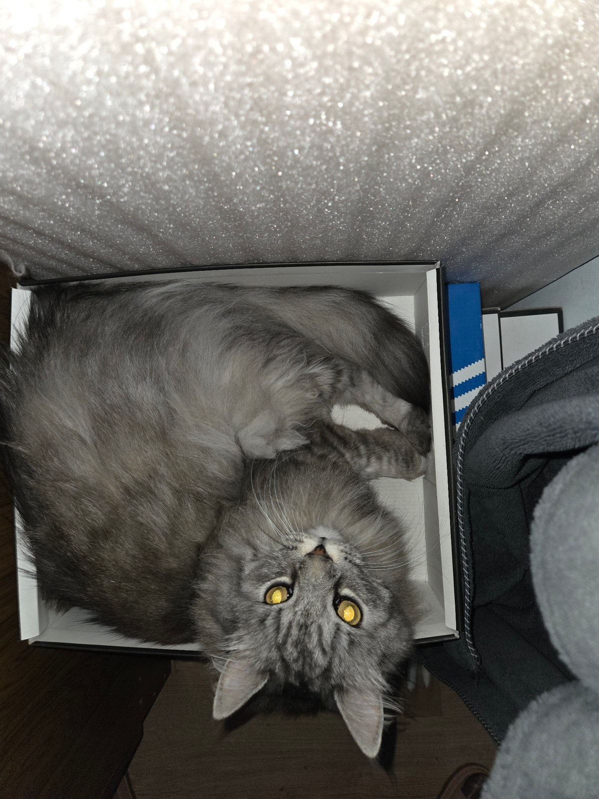 Private moment recorded in Plovdiv residence