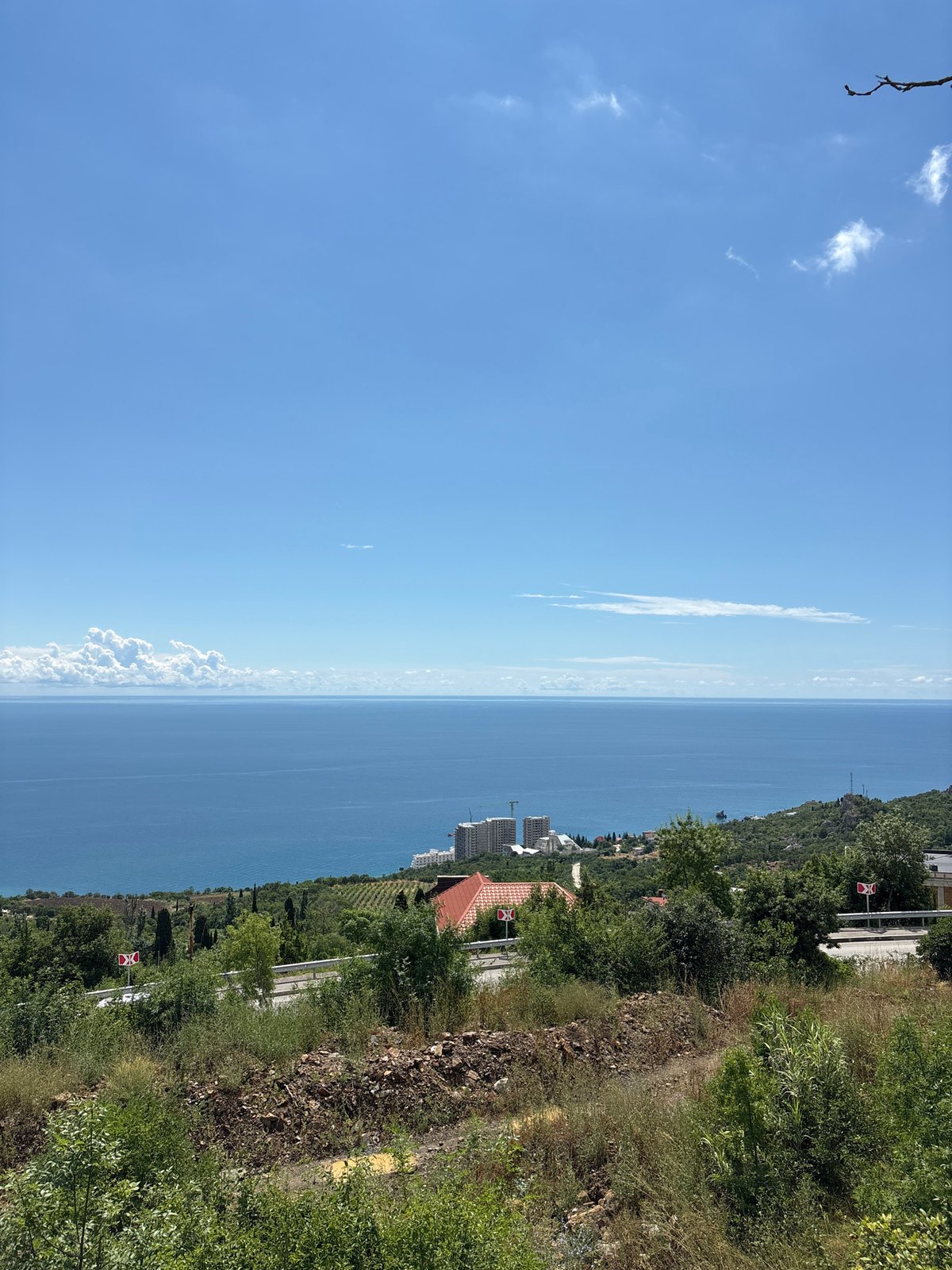 Plum picking and coastal views on the Black Sea shore