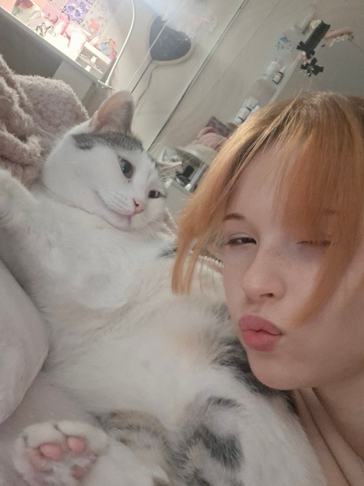 Person documents quiet afternoon with cat in Chaikovsky home