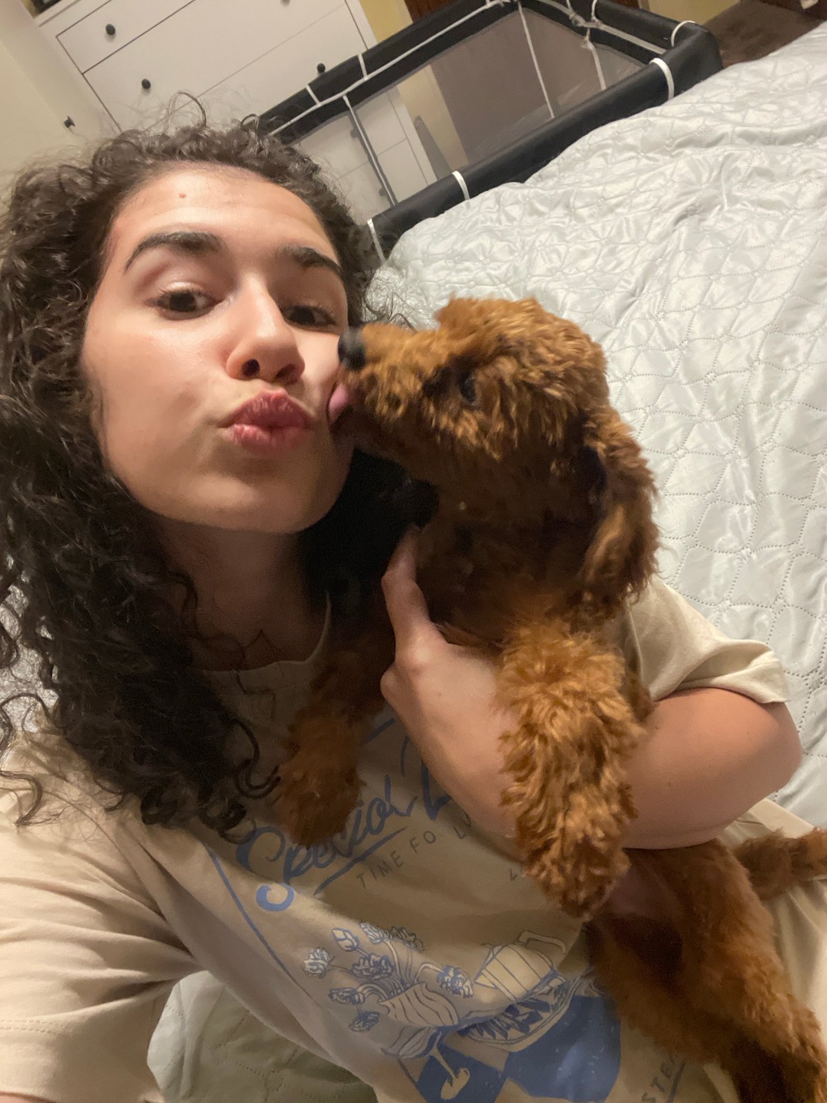 Woman recuperates in bed with poodle puppy companion
