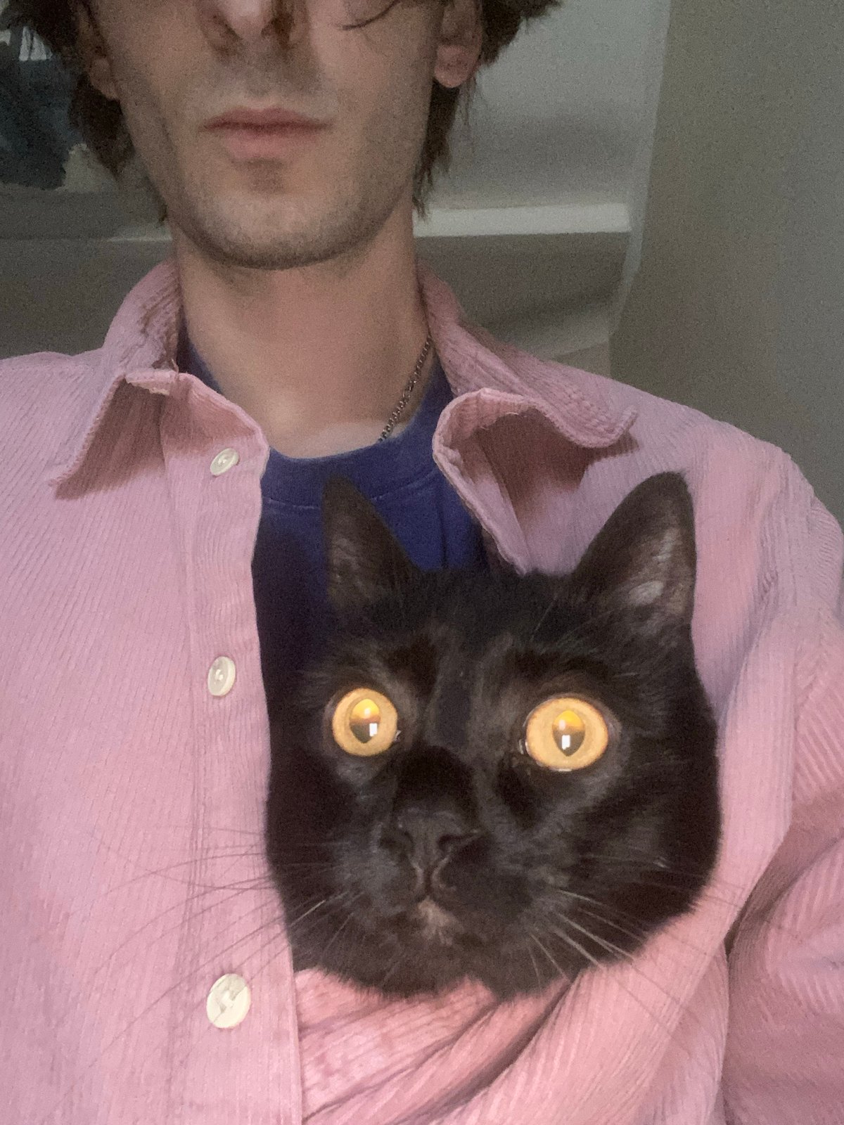 Man and black cat observed together in Moscow