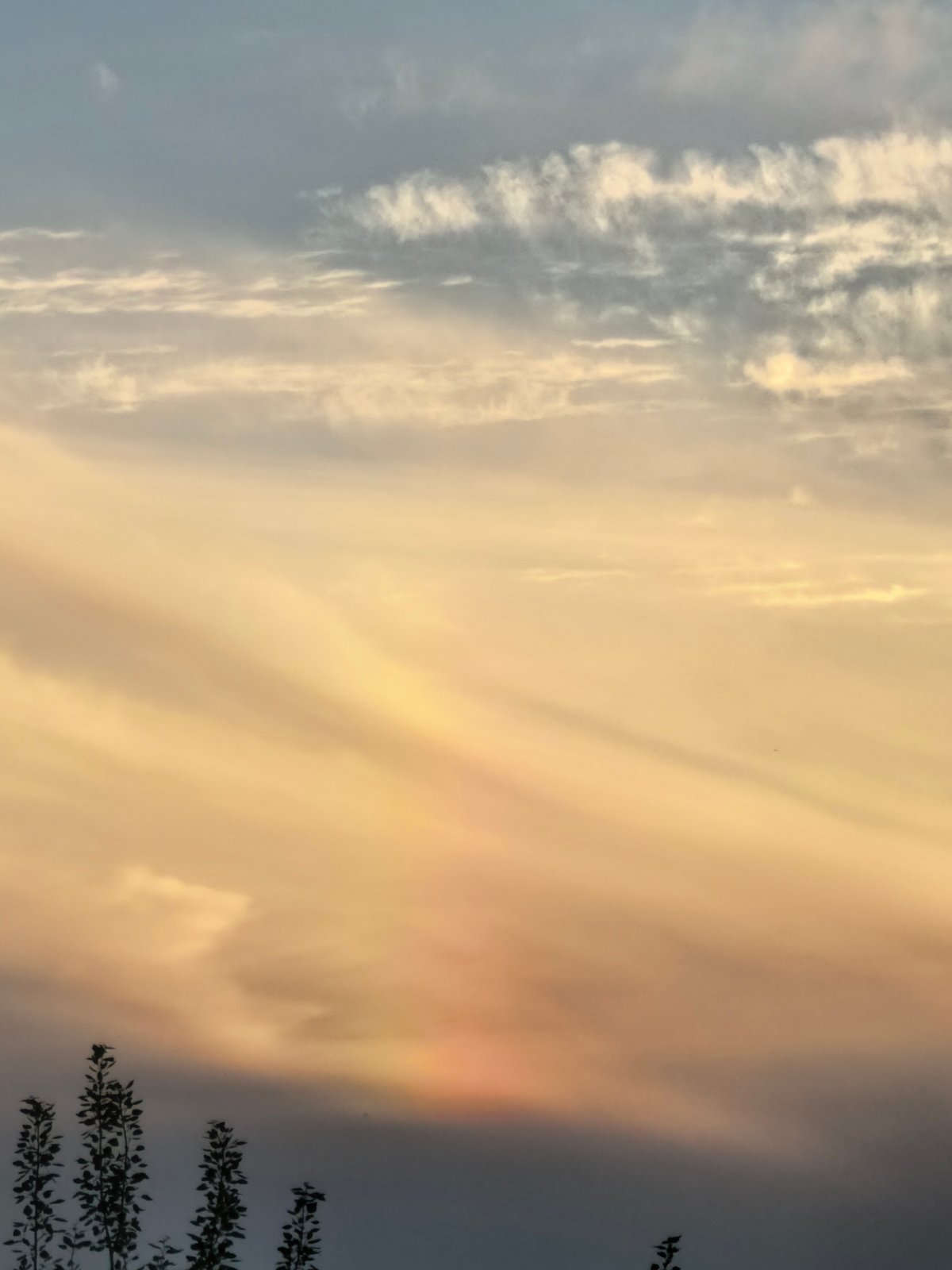 Sky watching session tracks clouds and sunset light over 17 minutes
