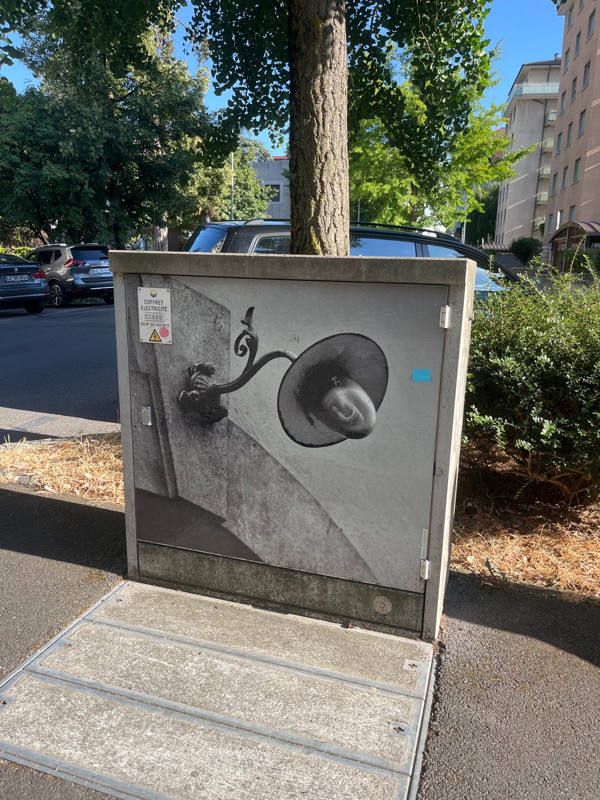 Street art, flowers, and small details along a Geneva sidewalk
