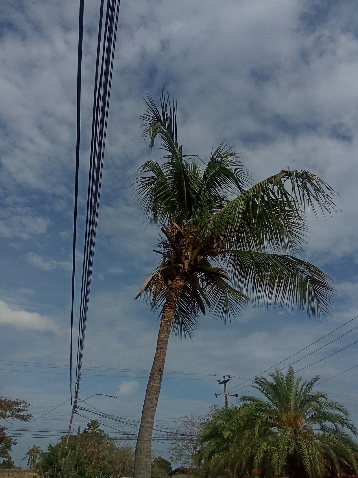 Witness captures everyday scenes around Juan Griego, Venezuela