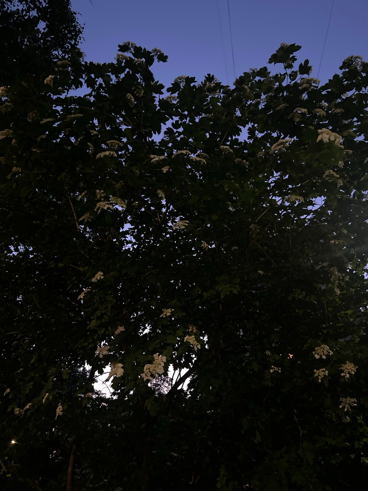 Twilight scenes documented across unknown Russian city Sunday evening