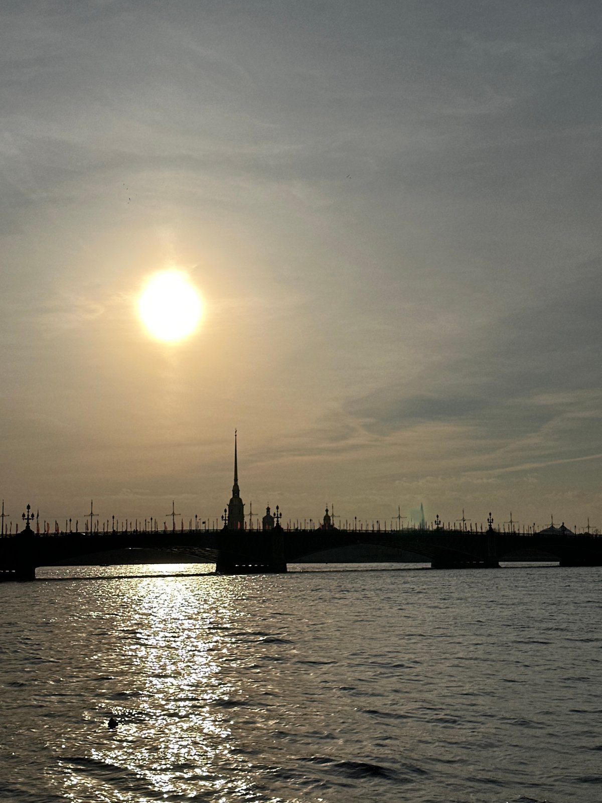 Birds rest on Neva River buoy near Petersburg skyline