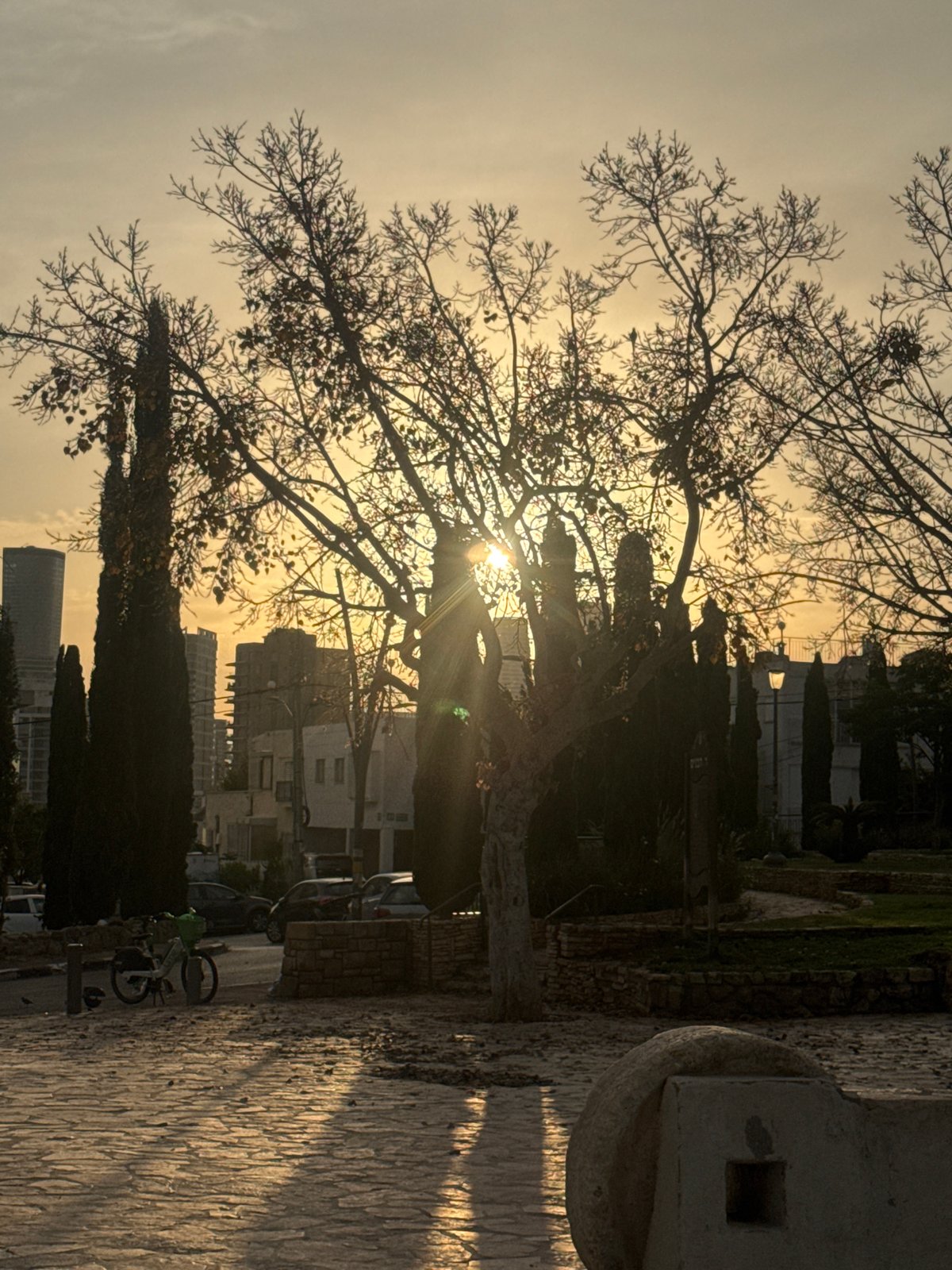 Golden hour scenes and wildlife captured across Ramat Gan