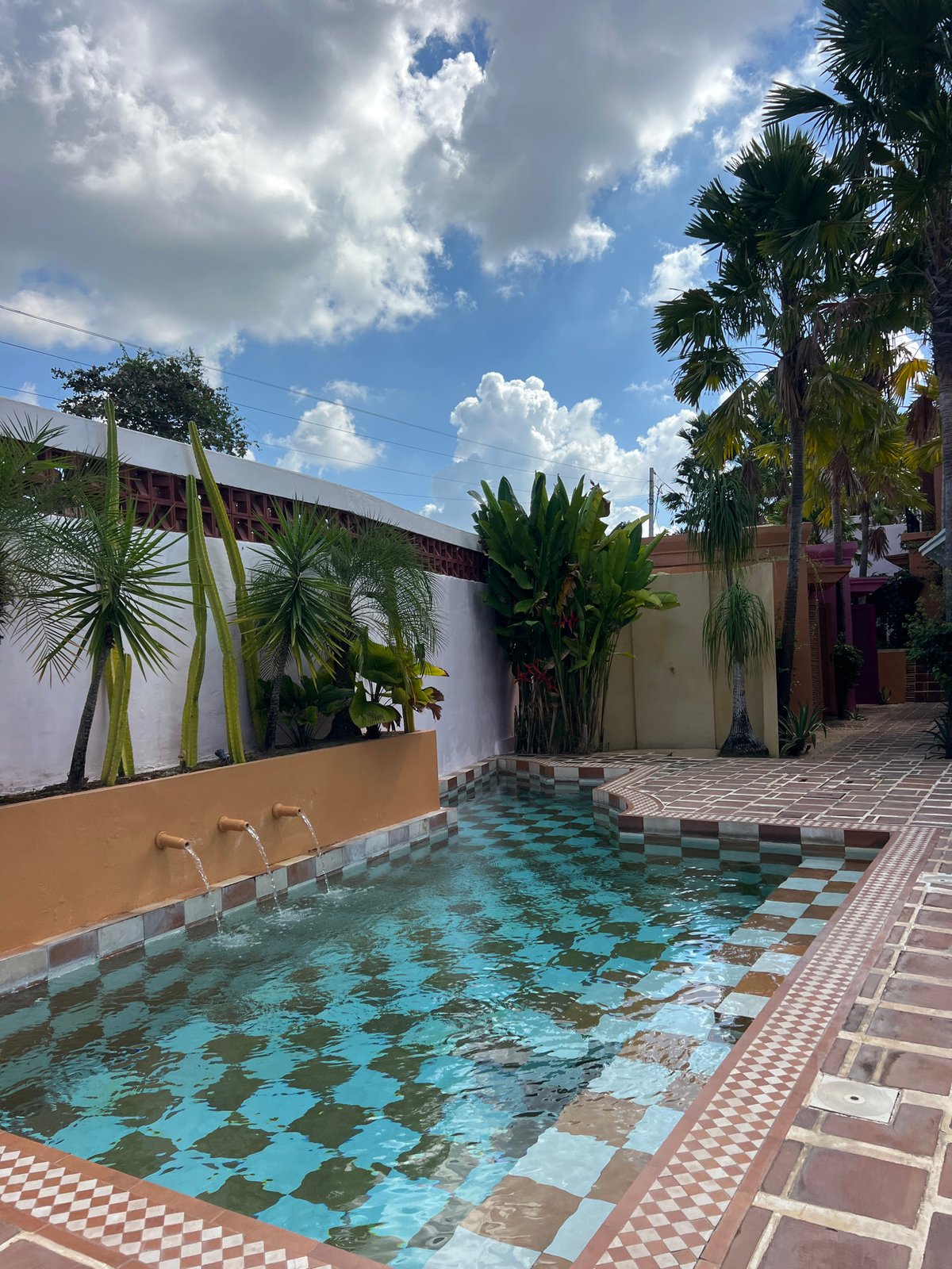 Vivid villa in North Kuta with bold interiors and a resident cat