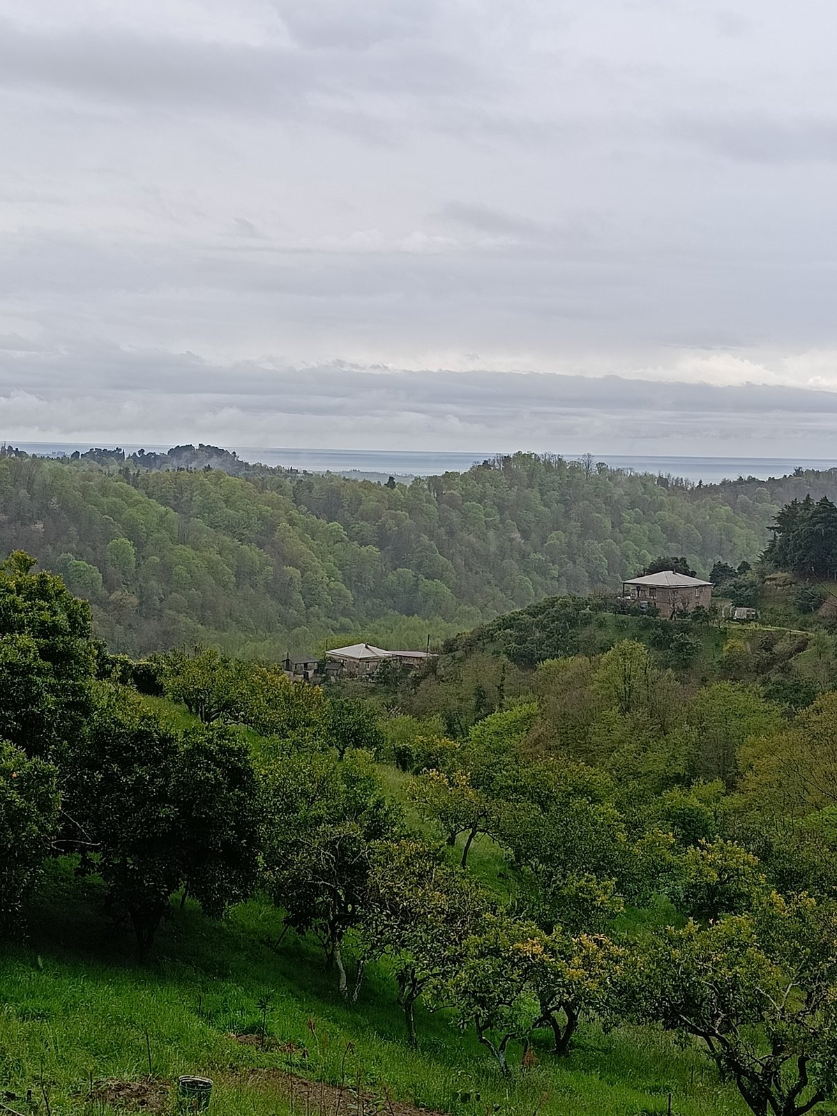 Overcast morning landscape captured in Yuada-Gulrypsh, Abkhazia