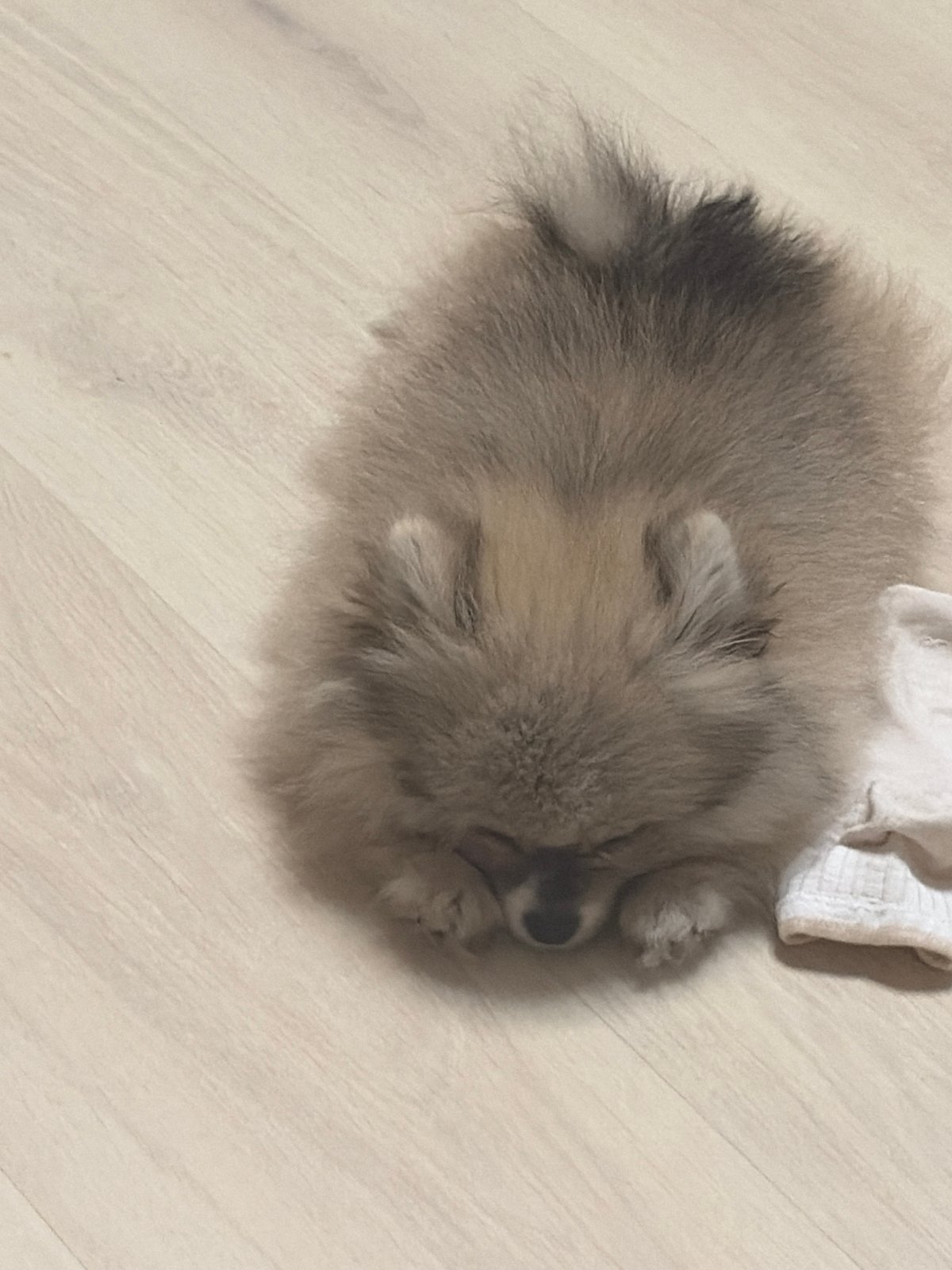 Quiet evening scenes captured across Russian households