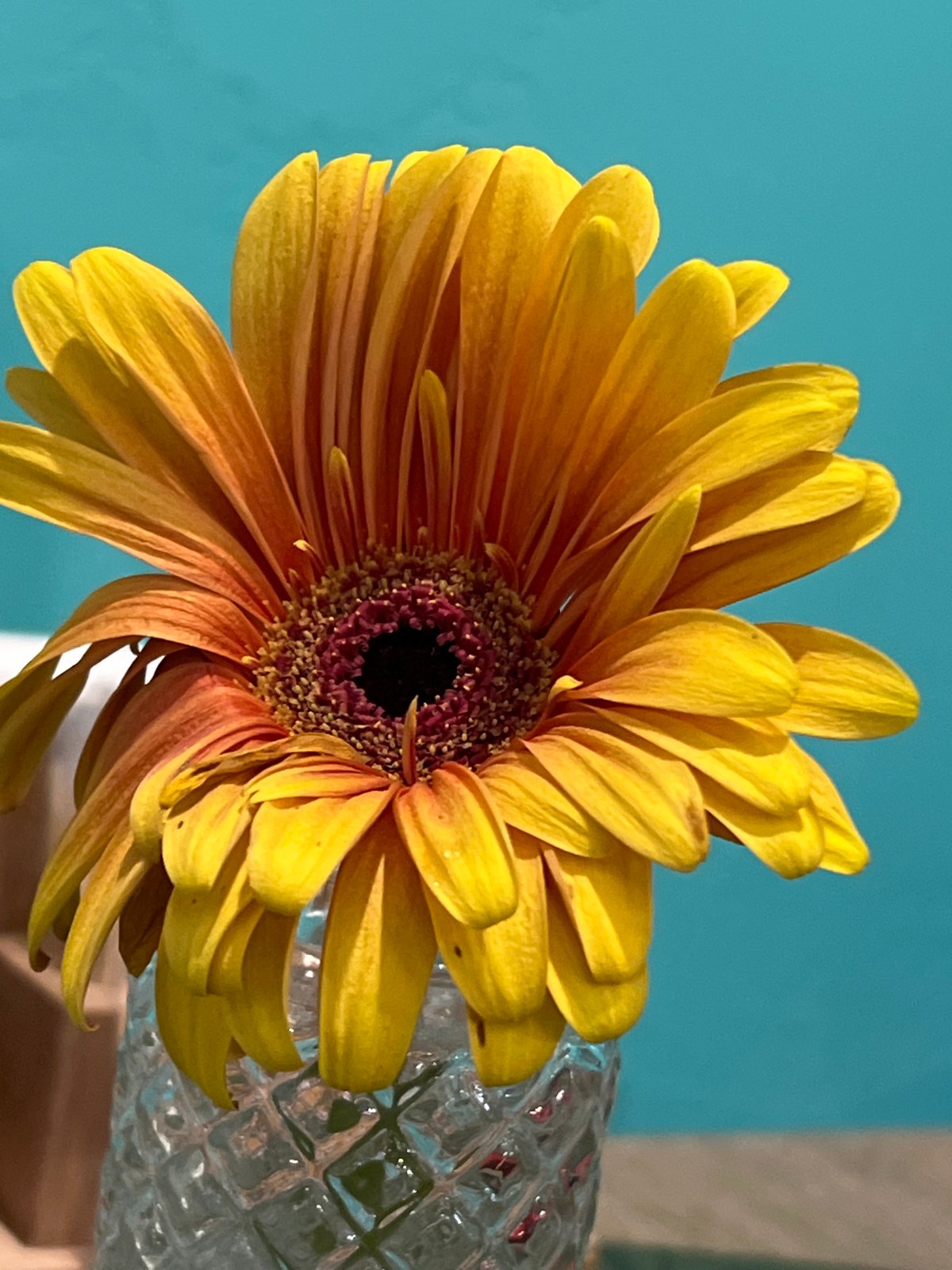 Family lunch at turquoise-walled Moscow restaurant with floral arrangements