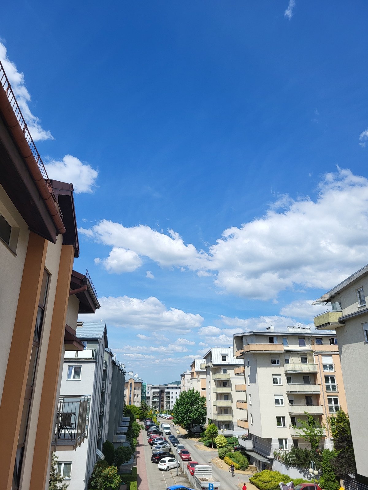 Morning memories: urban skies and cat belly rubs